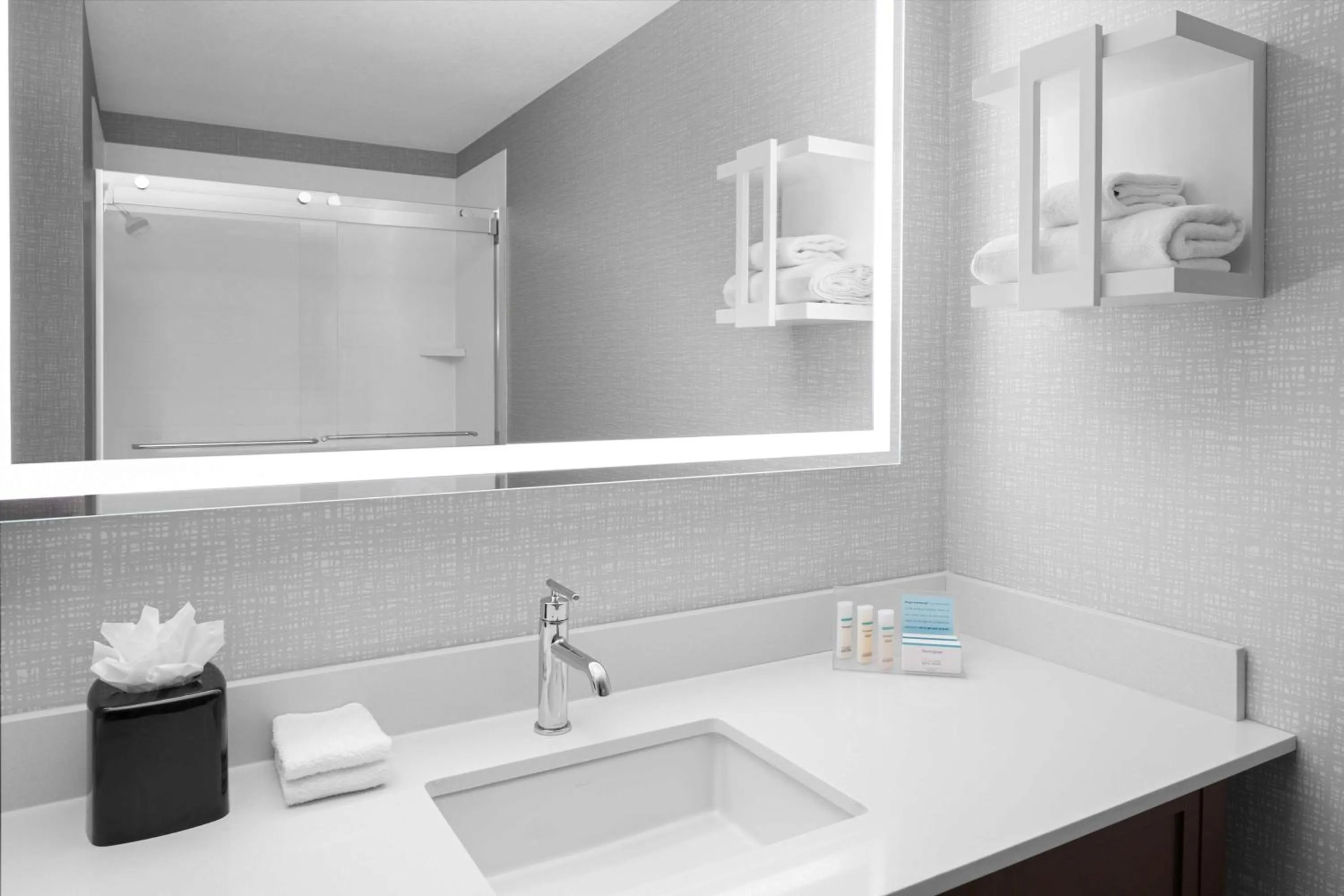 Bathroom in Hampton Inn Phoenix - Biltmore