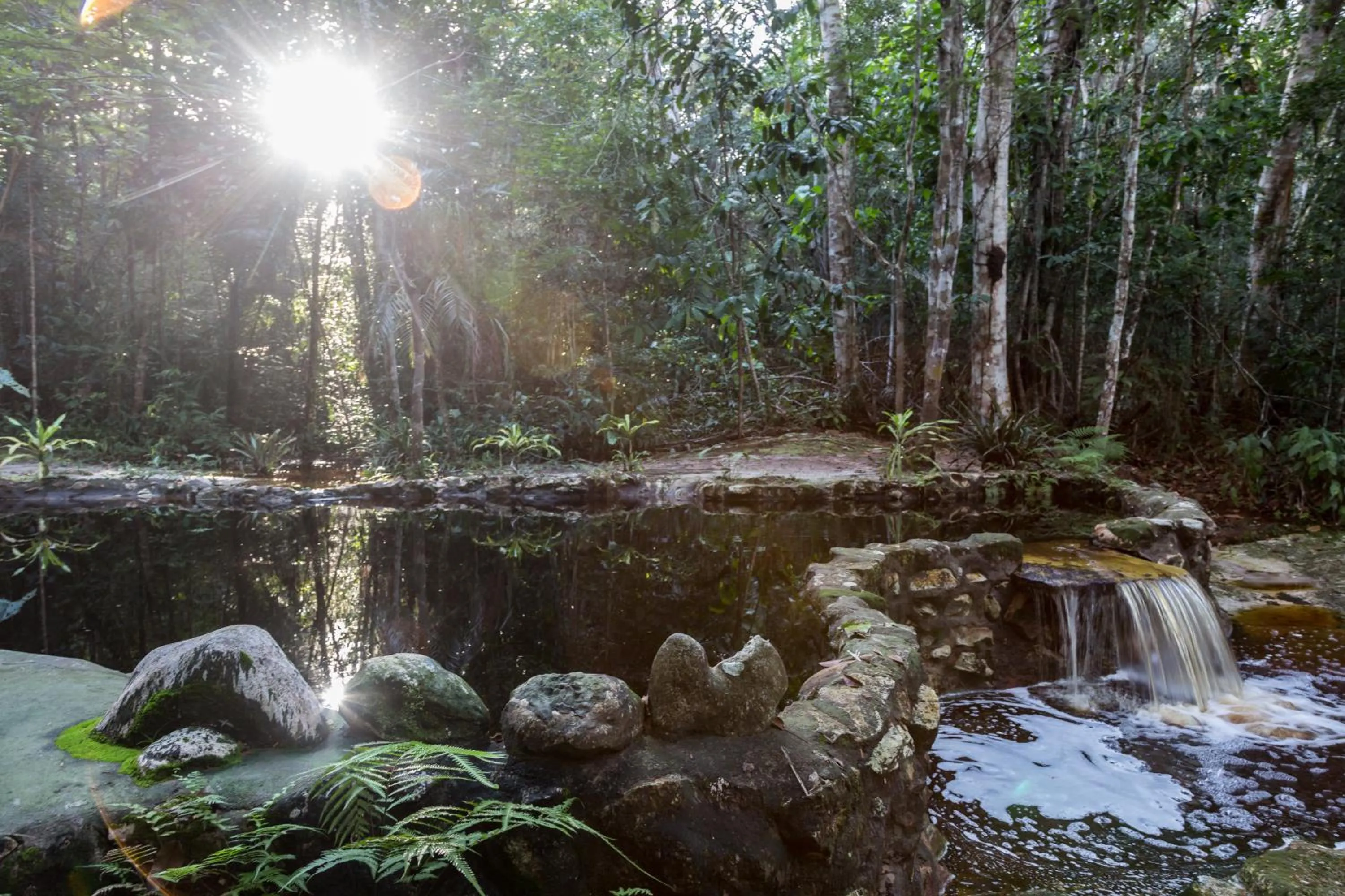 Swimming pool in Amazon Ecopark Jungle Lodge