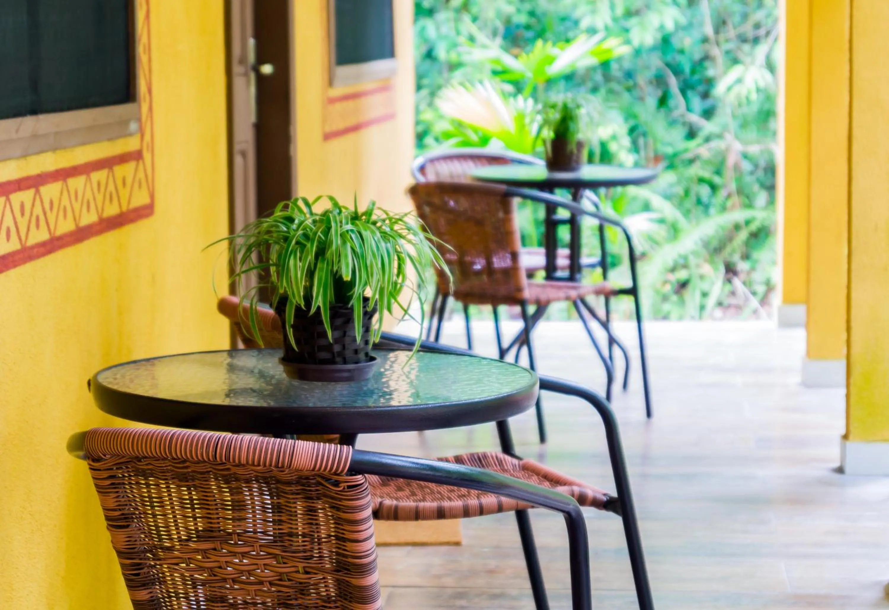 Patio in Amazon Ecopark Jungle Lodge