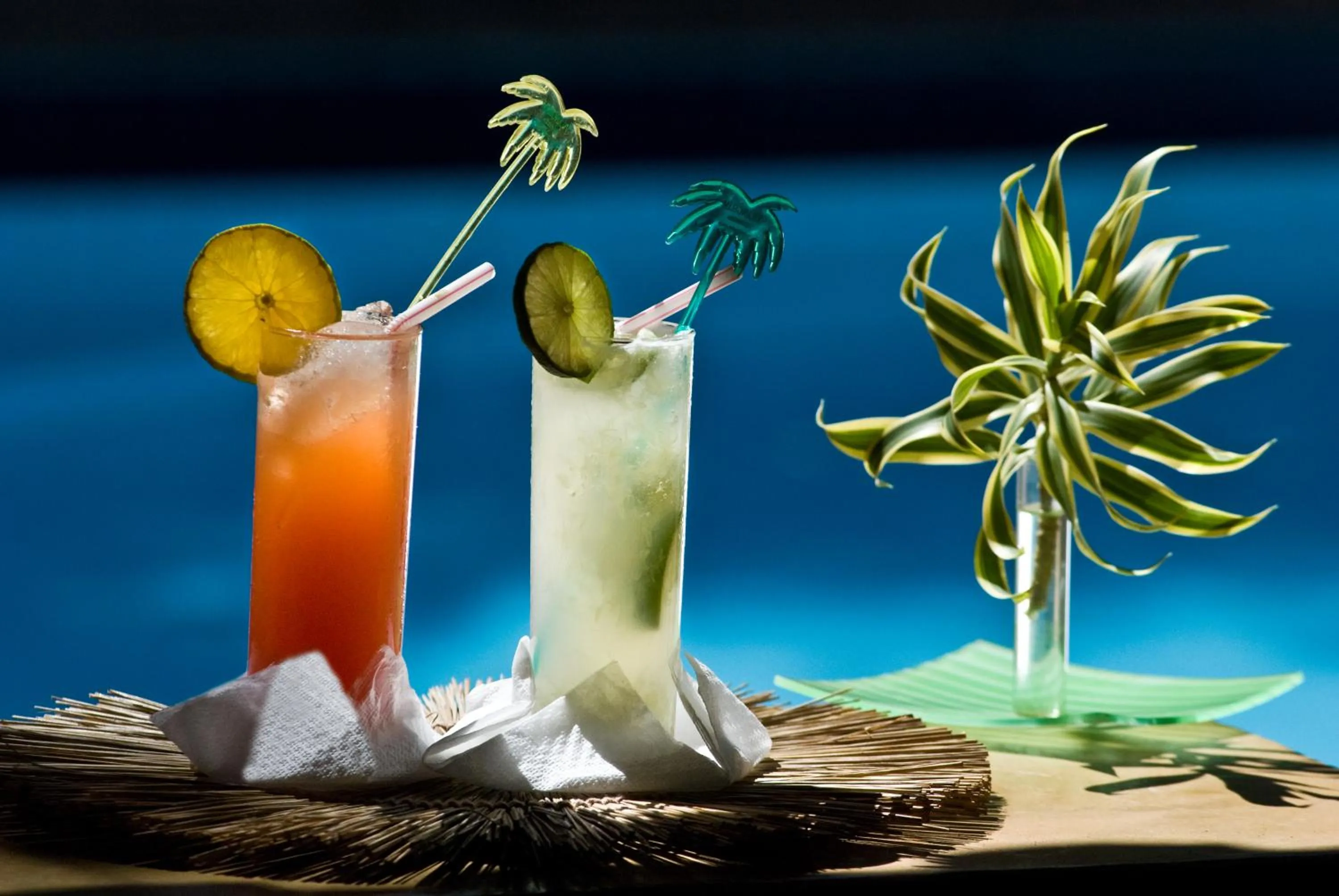 Alcoholic drinks in Vilangelim Eco-Pousada