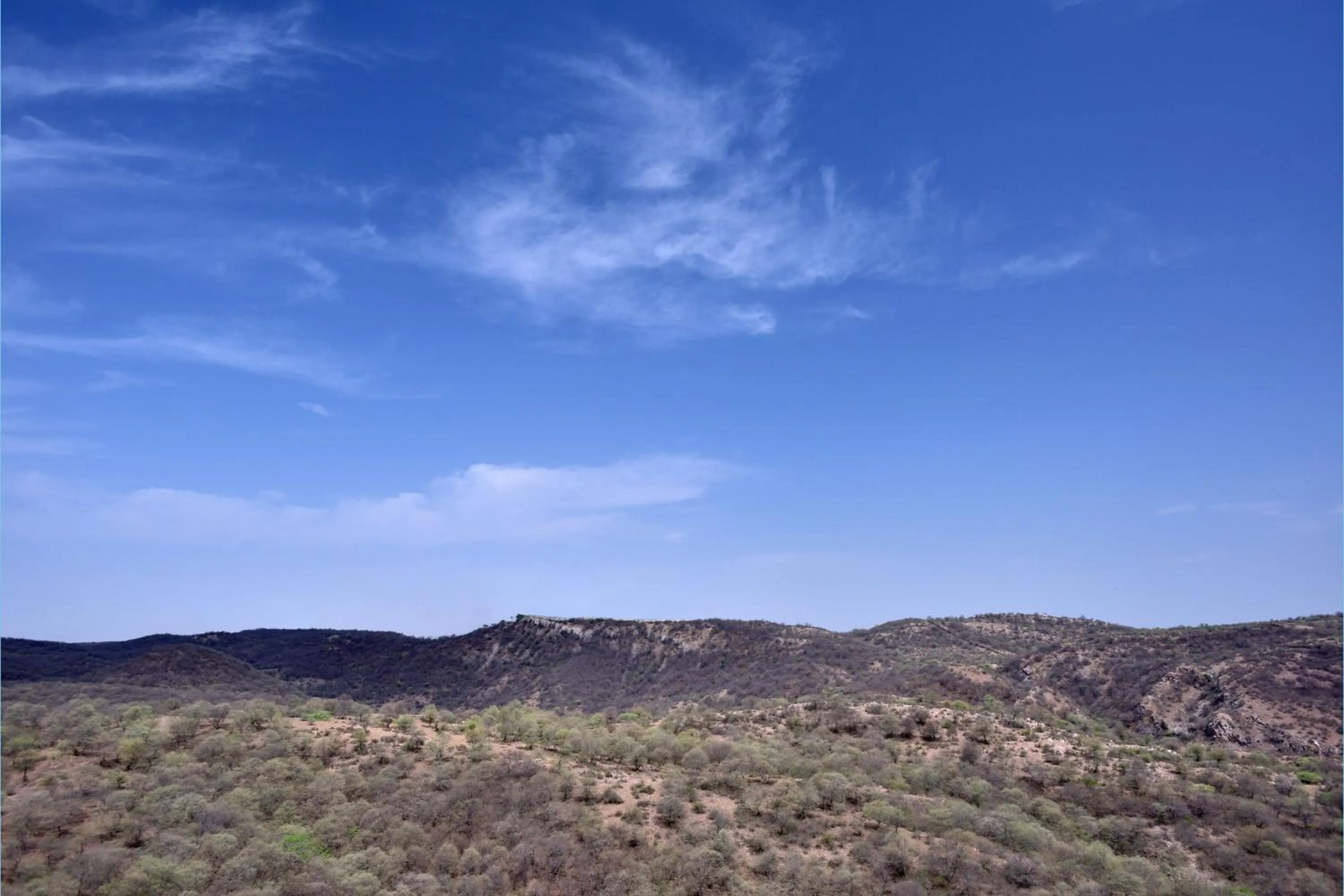 Other in Four Points by Sheraton Jaipur, City Square