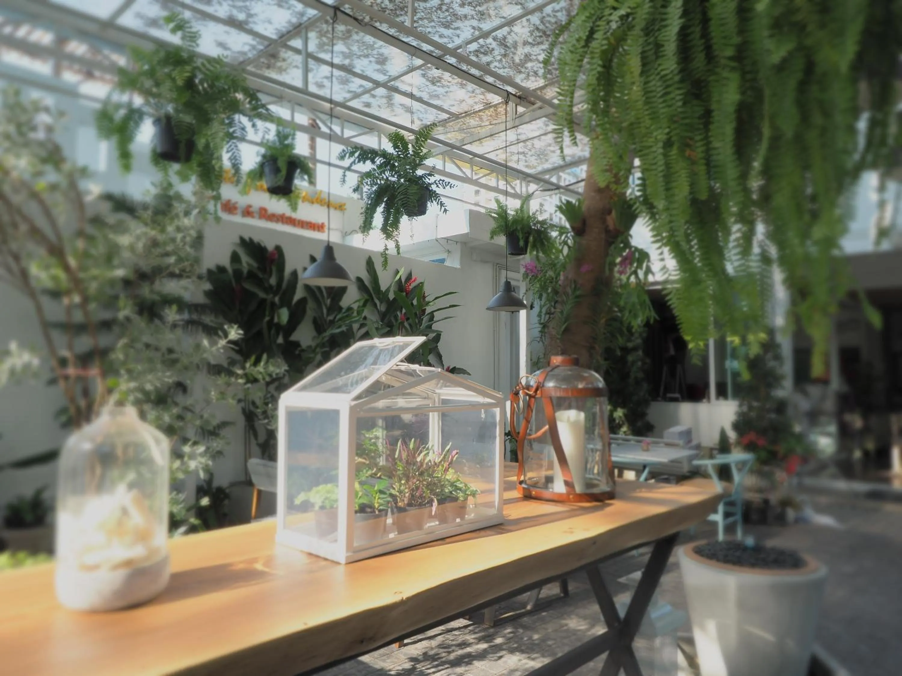 Restaurant/places to eat in Costa Village Pool Villa