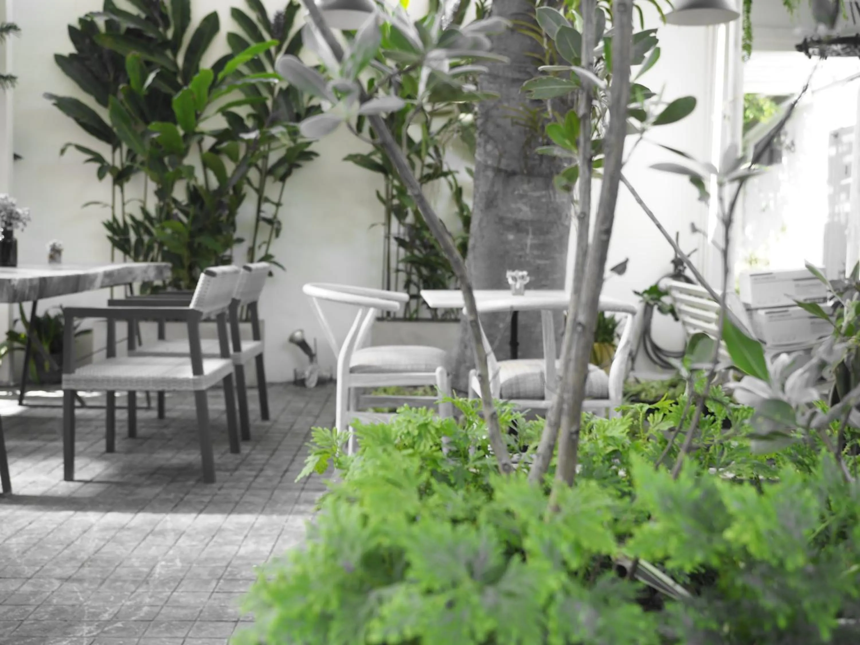 Restaurant/places to eat in Costa Village Pool Villa