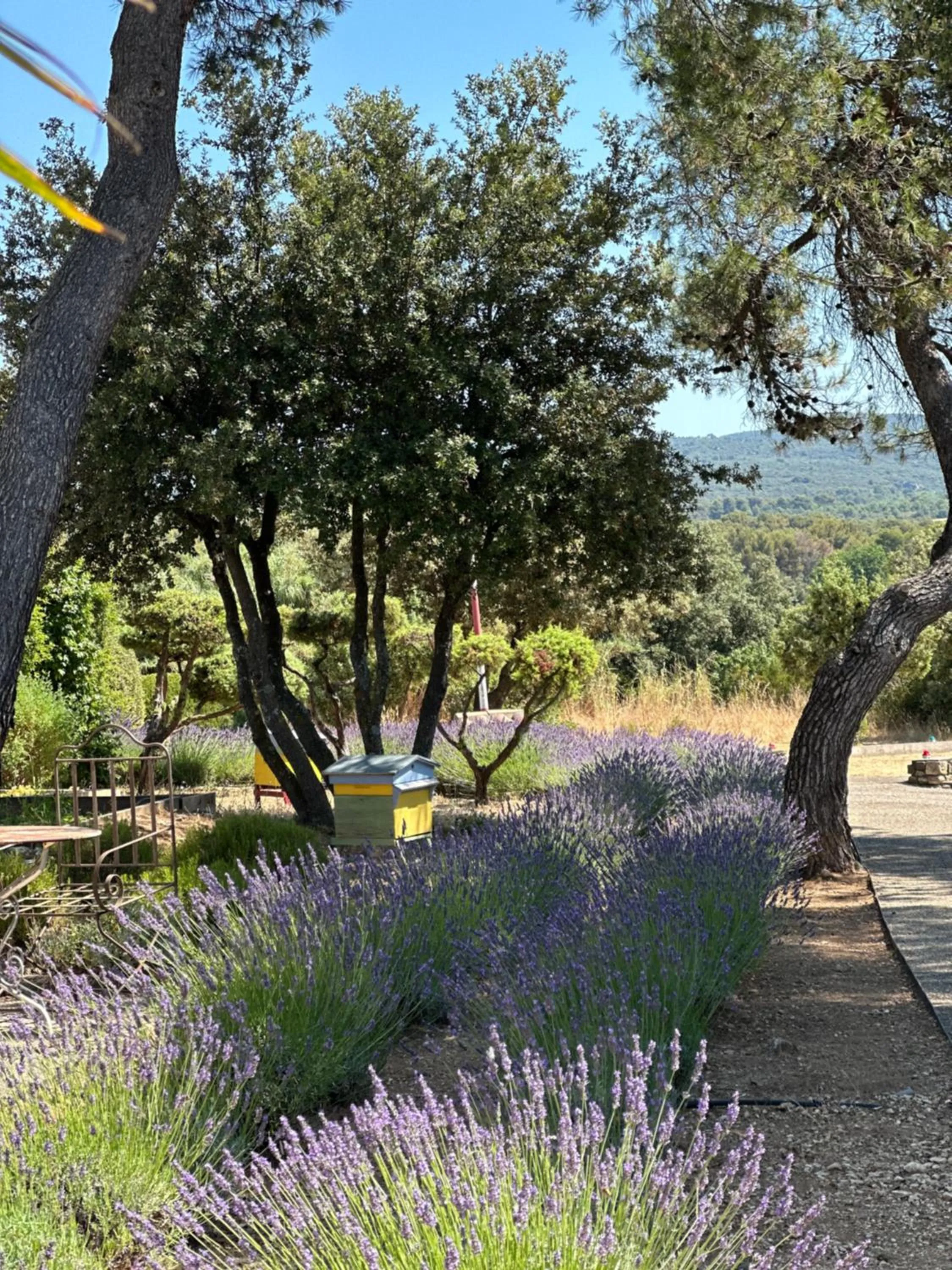 Decorative detail in Le Phébus & Spa – Relais & Châteaux