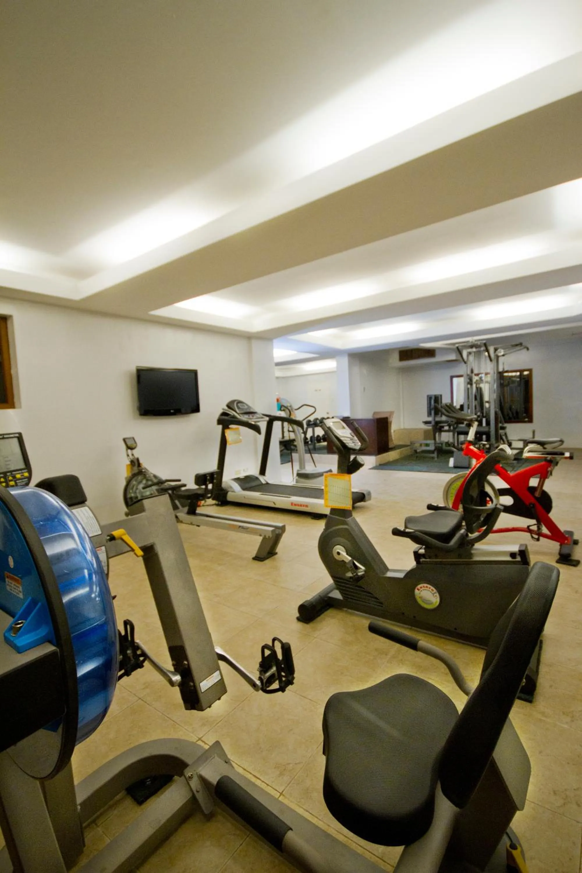 Fitness centre/facilities in Ambassador In Paradise