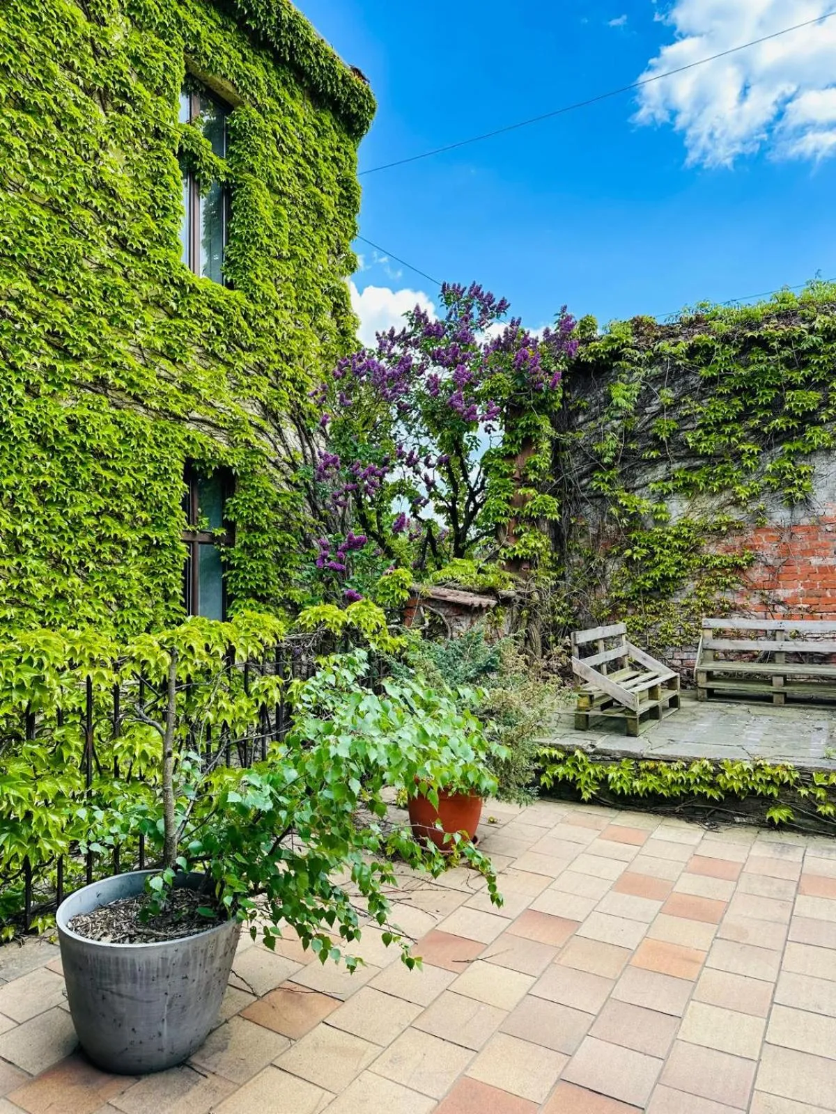 Property building in Hotel Centrum