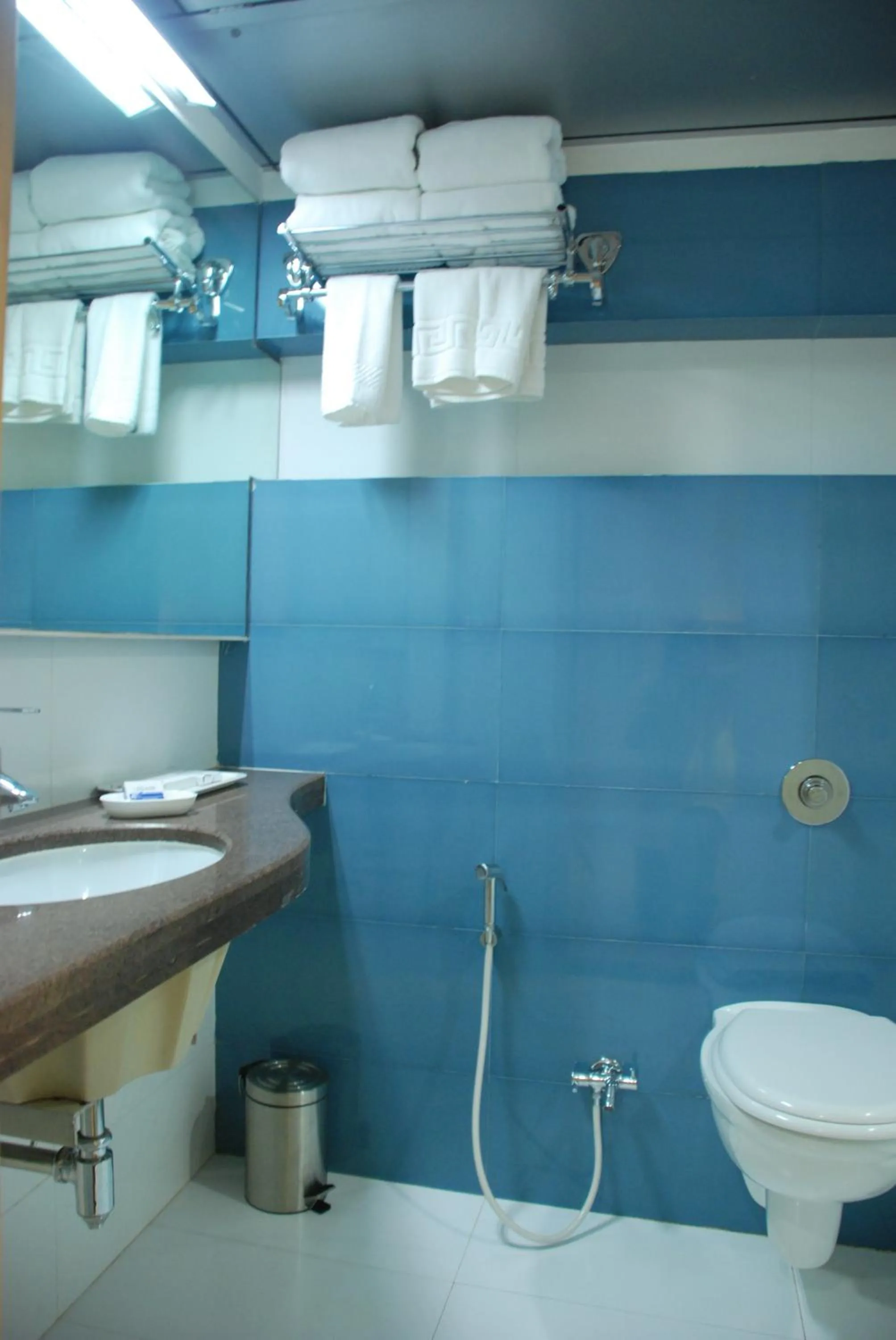 Toilet in The Oriental Residency