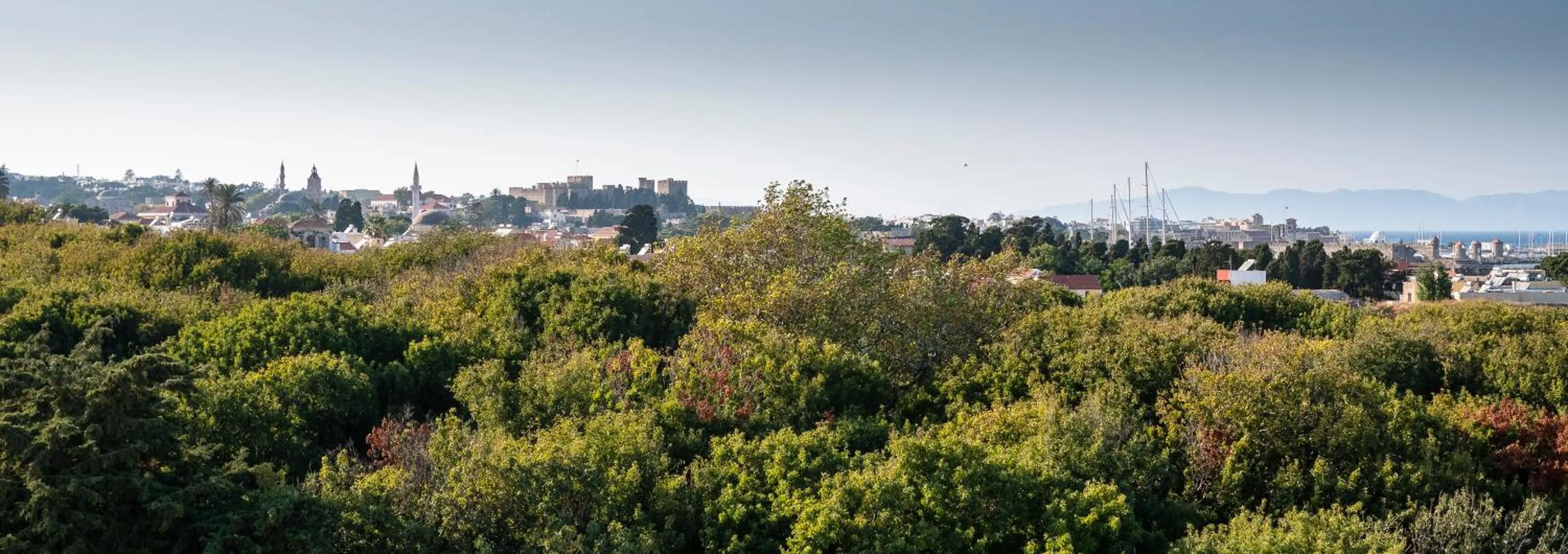 City view in Athineon Hotel