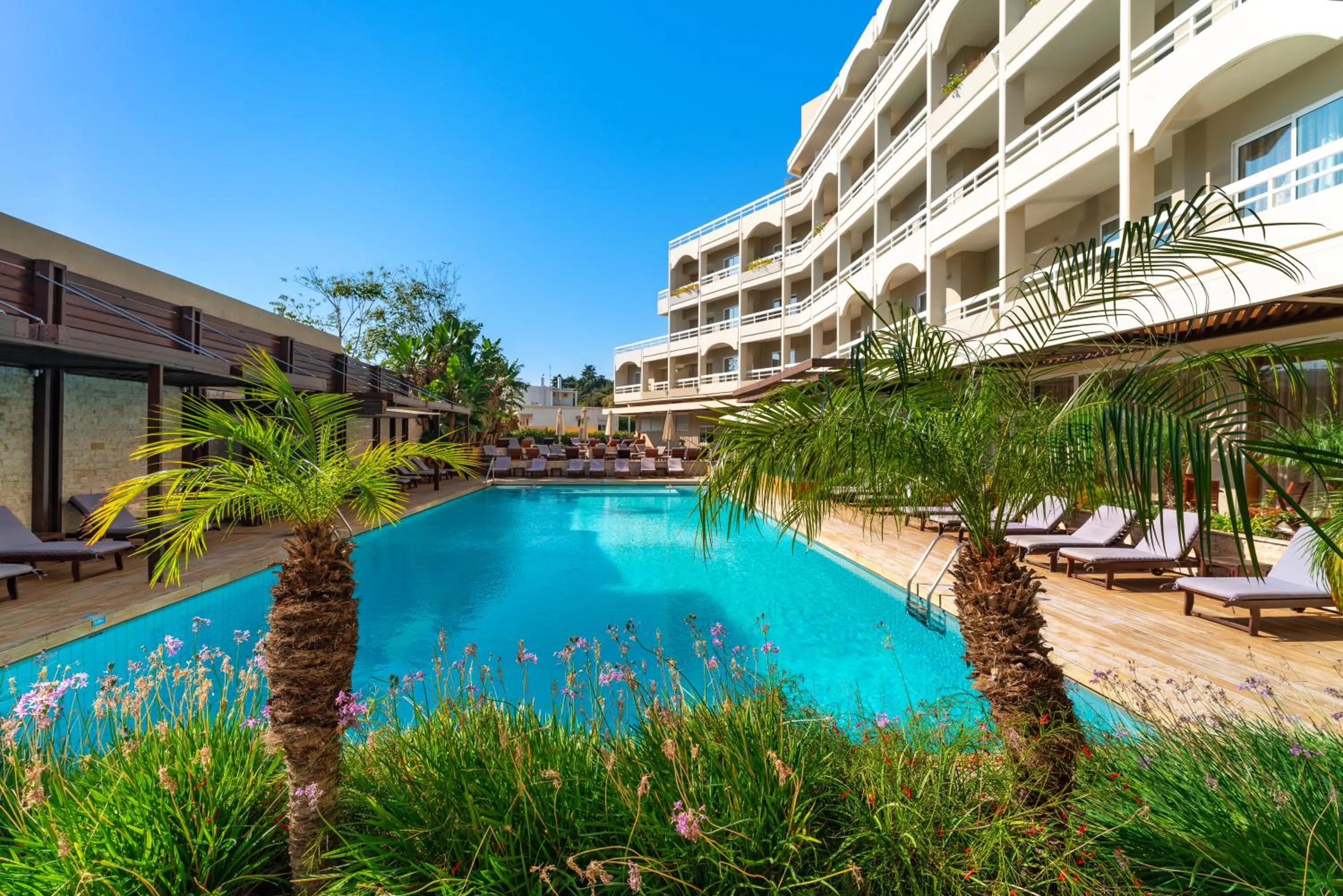 Balcony/Terrace in Athineon Hotel