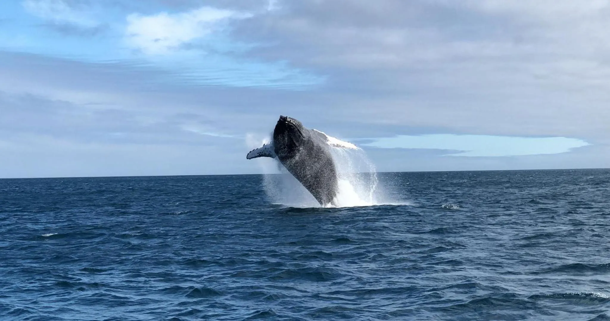 Activities in On the Beach Guesthouse Jeffreys Bay