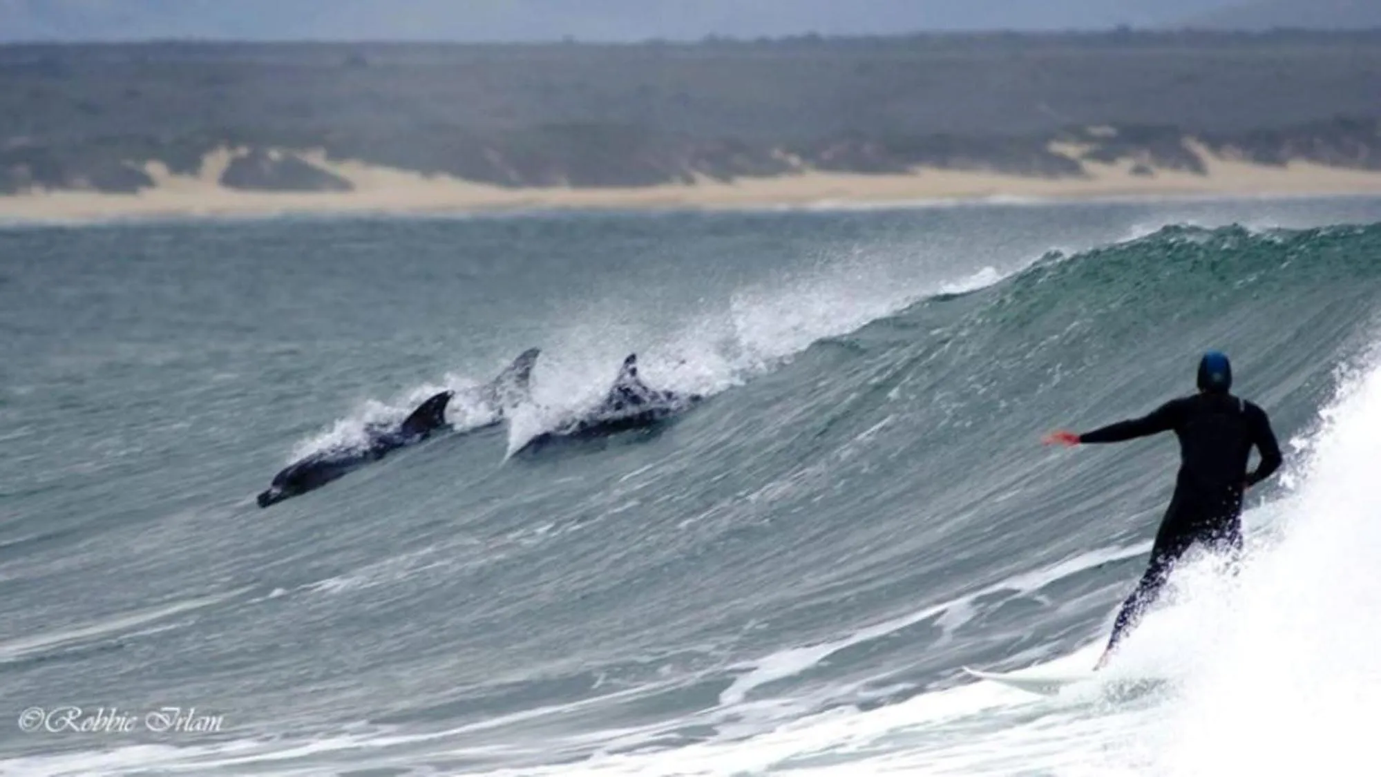 Day in On the Beach Guesthouse Jeffreys Bay