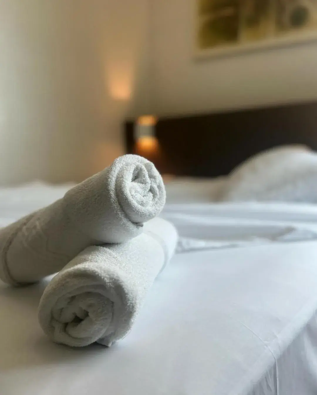 Single Room - single occupancy in Excellence Comfort Hotel Single Room - single occupancy in Excellence Comfort Hotel