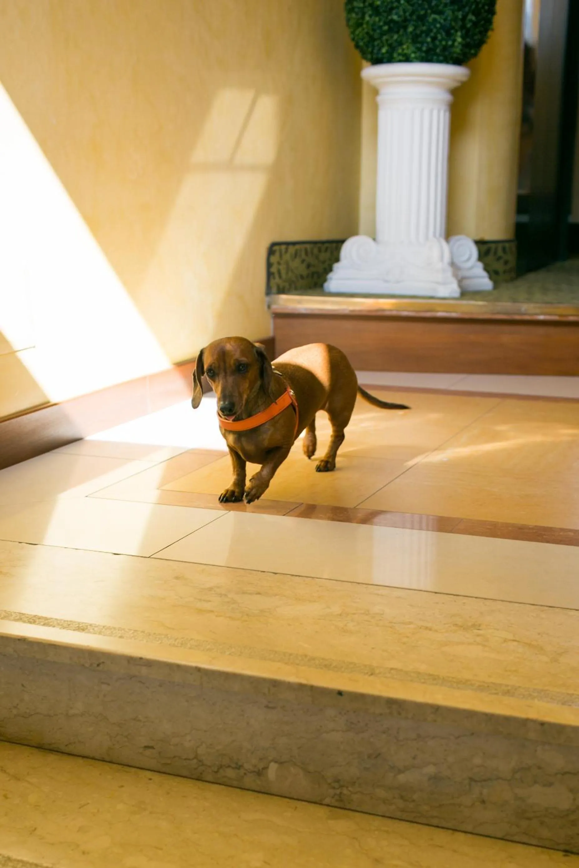 Staff in Rex Hotel Residence