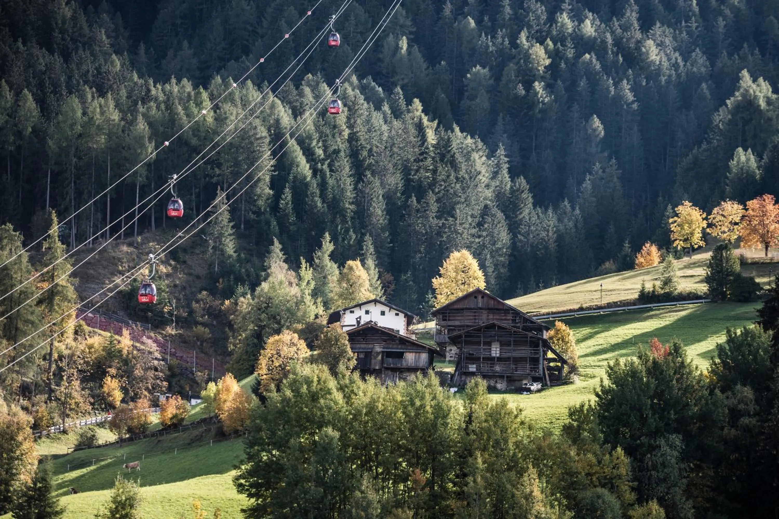 View (from property/room) in Classic Hotel Am Stetteneck