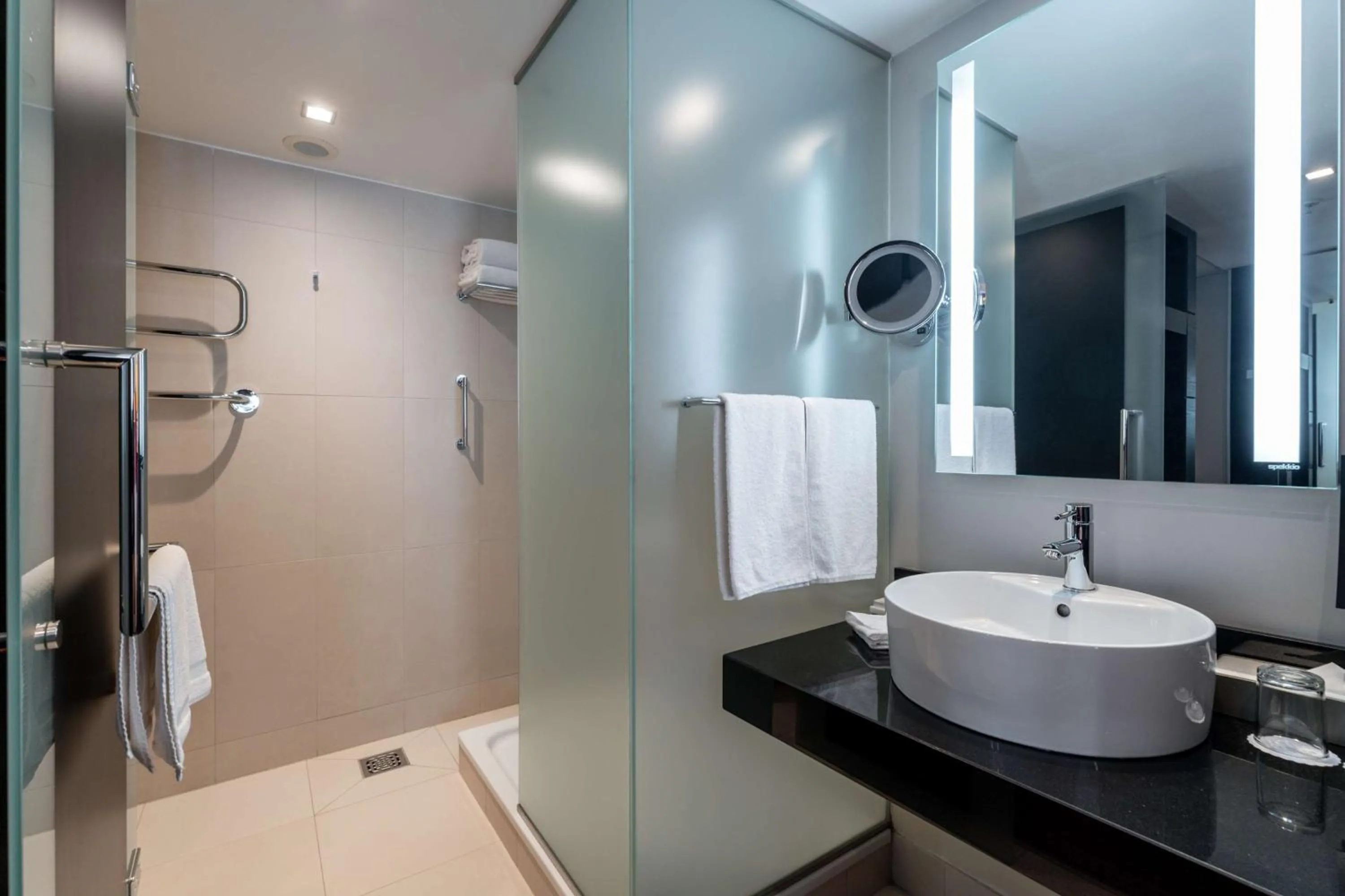 Toilet in Radisson Blu Elizabete Hotel, Riga