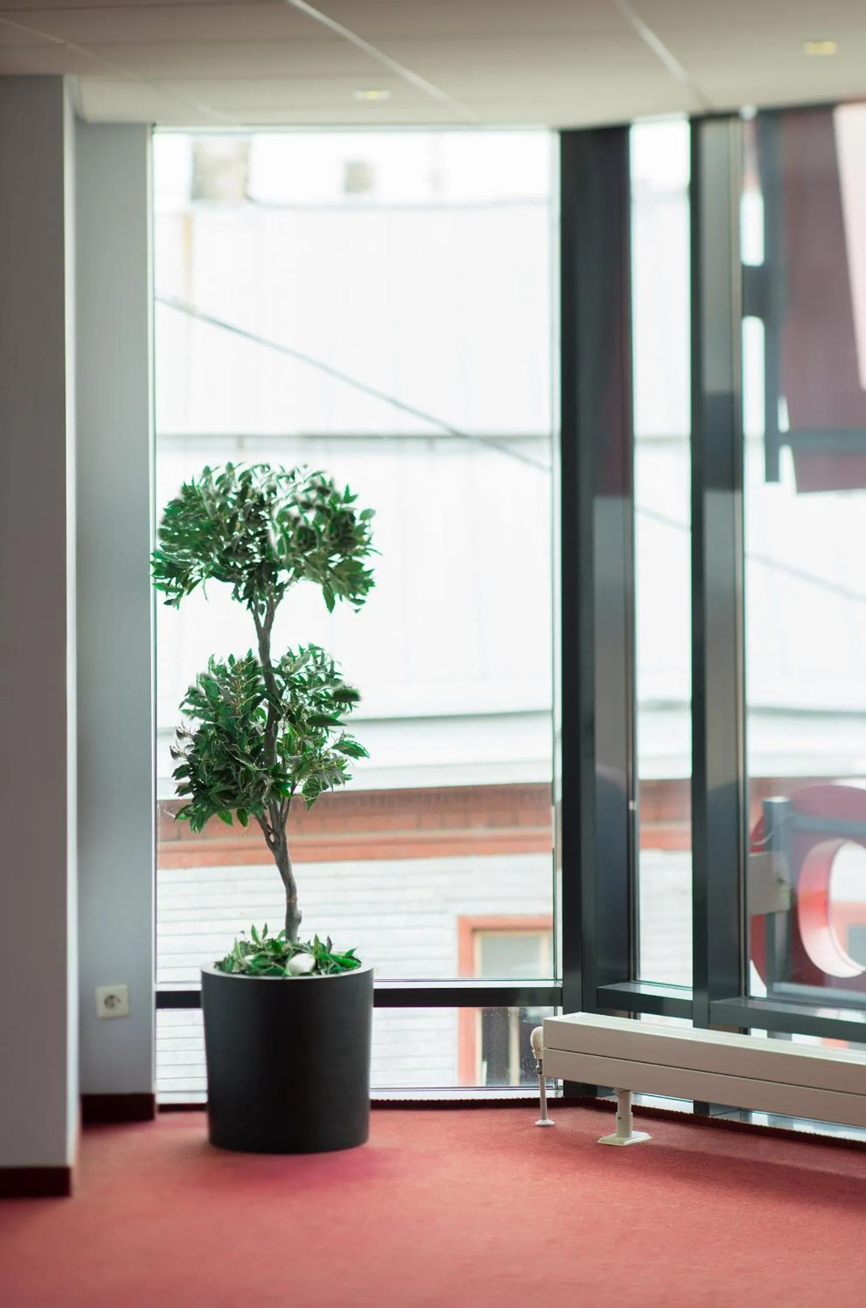 View (from property/room) in Dodo Hotel