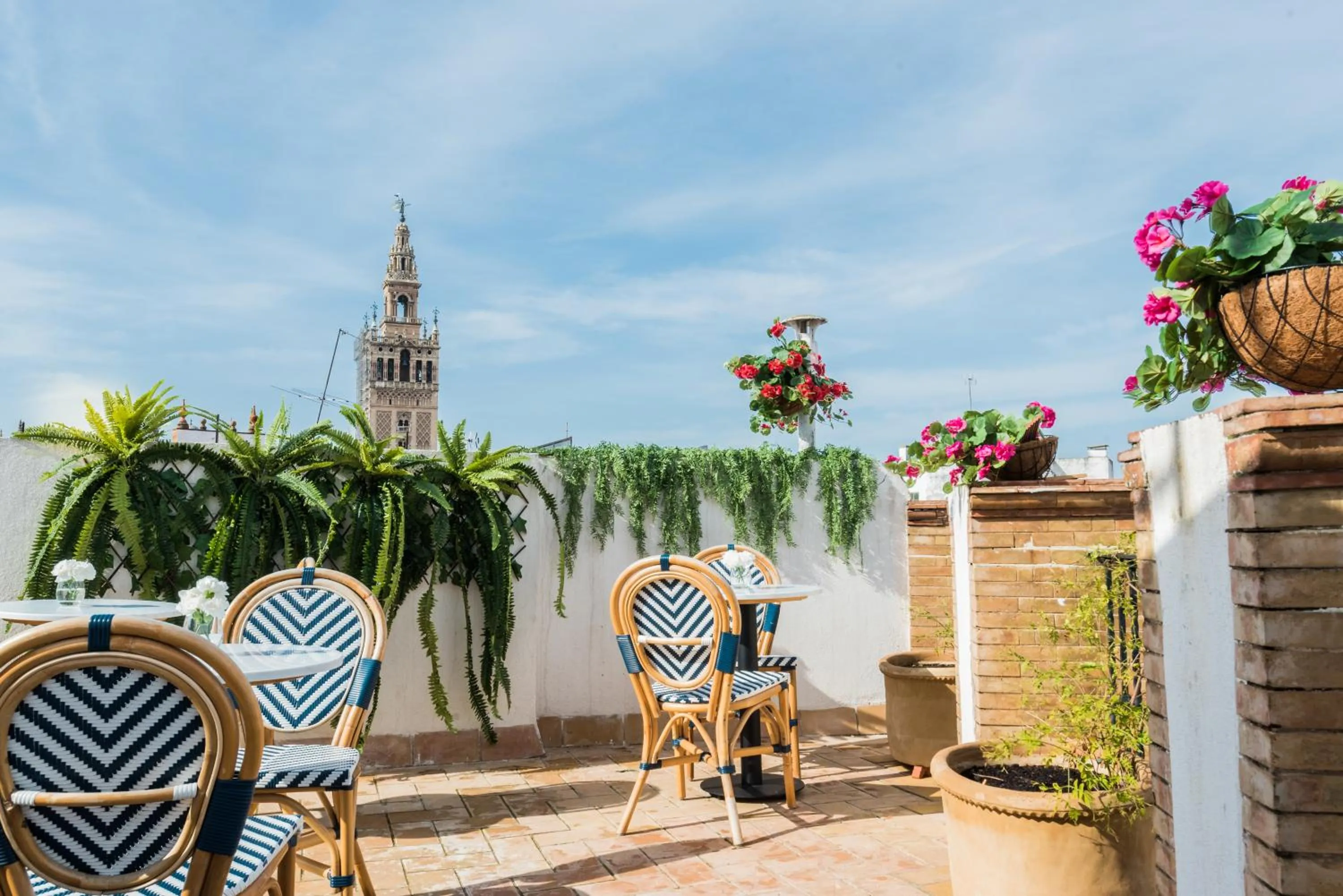 Balcony/Terrace in nüa cicerone