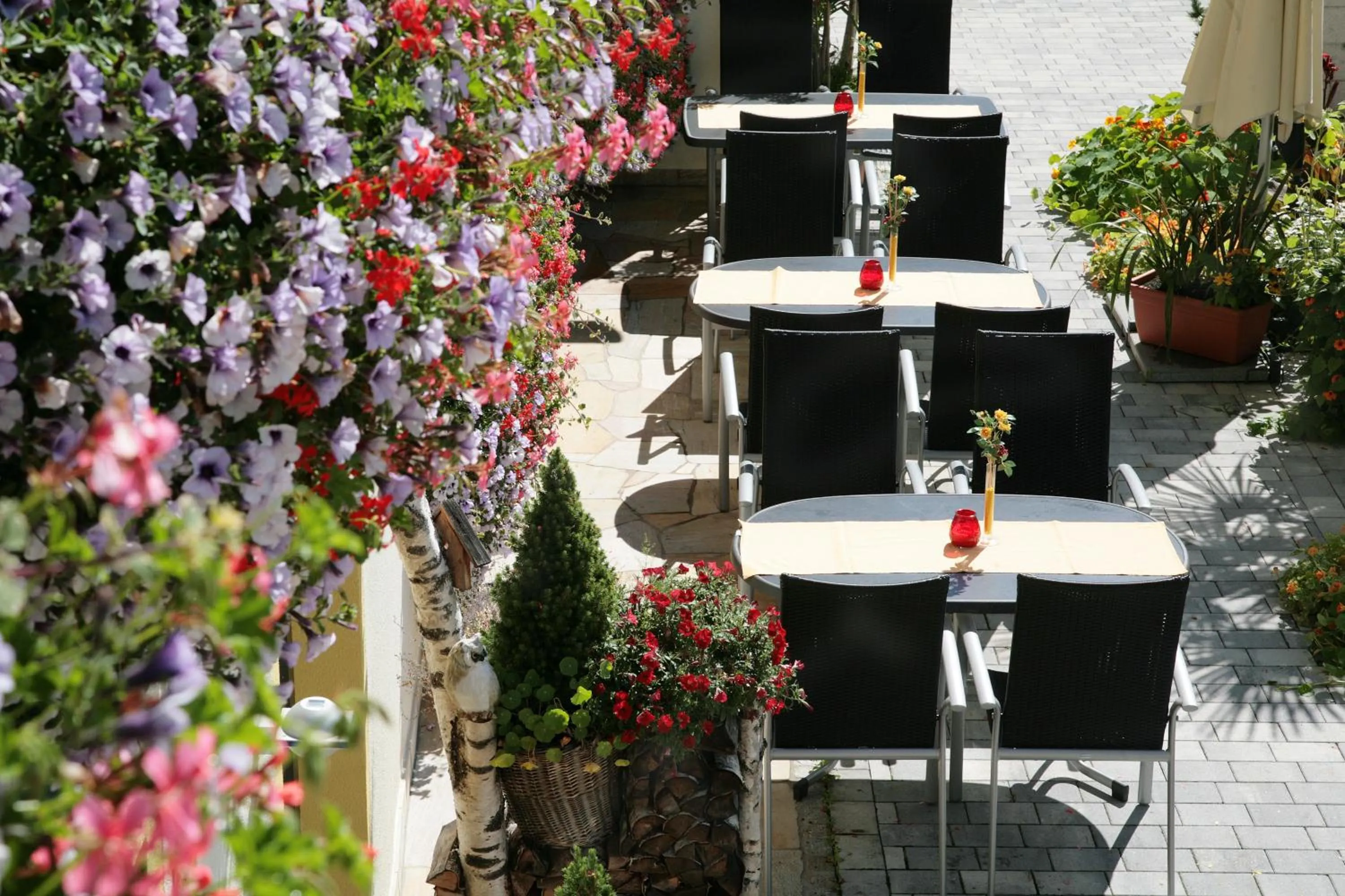 Patio in Hotel Eder Michaela