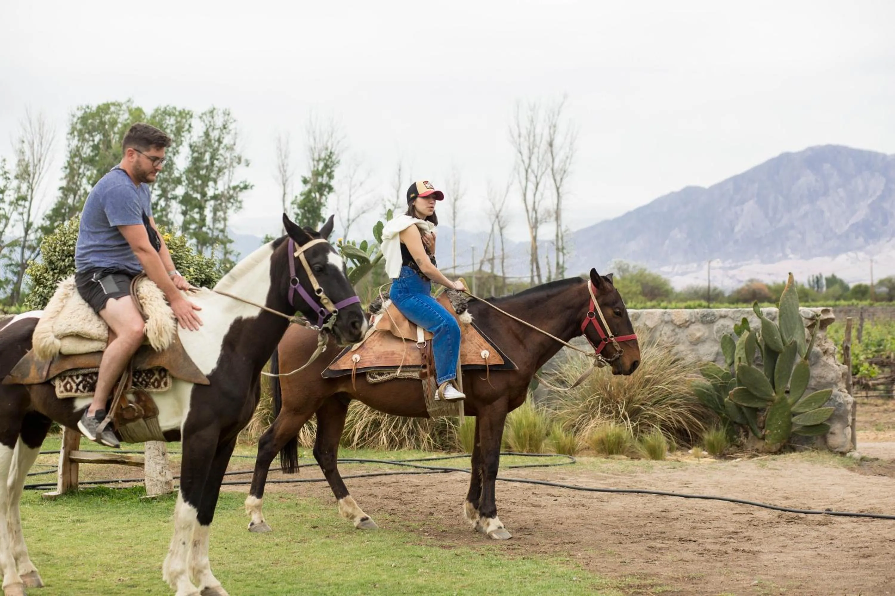 Activities in Patios de Cafayate - Wine Hotel & Restaurant