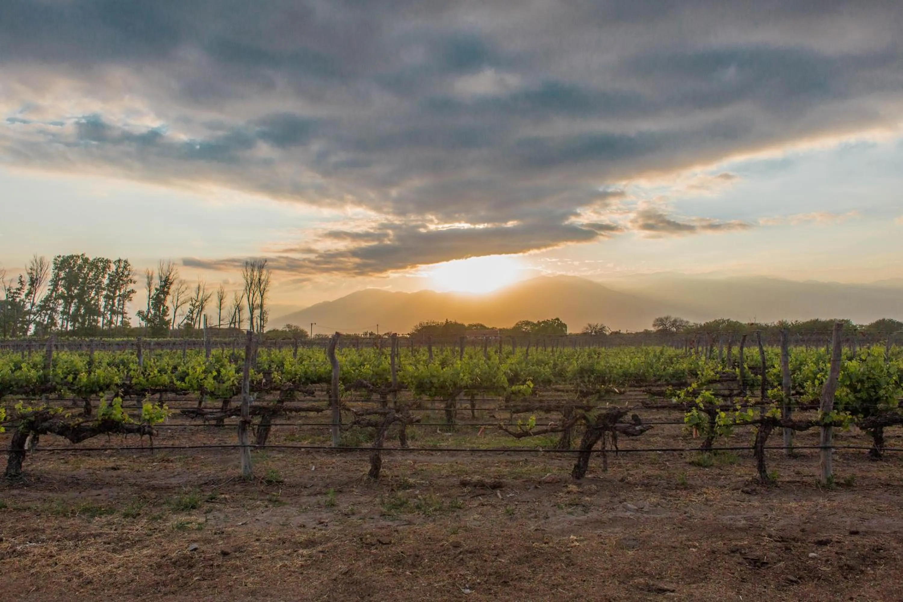 Sunset in Patios de Cafayate - Wine Hotel & Restaurant