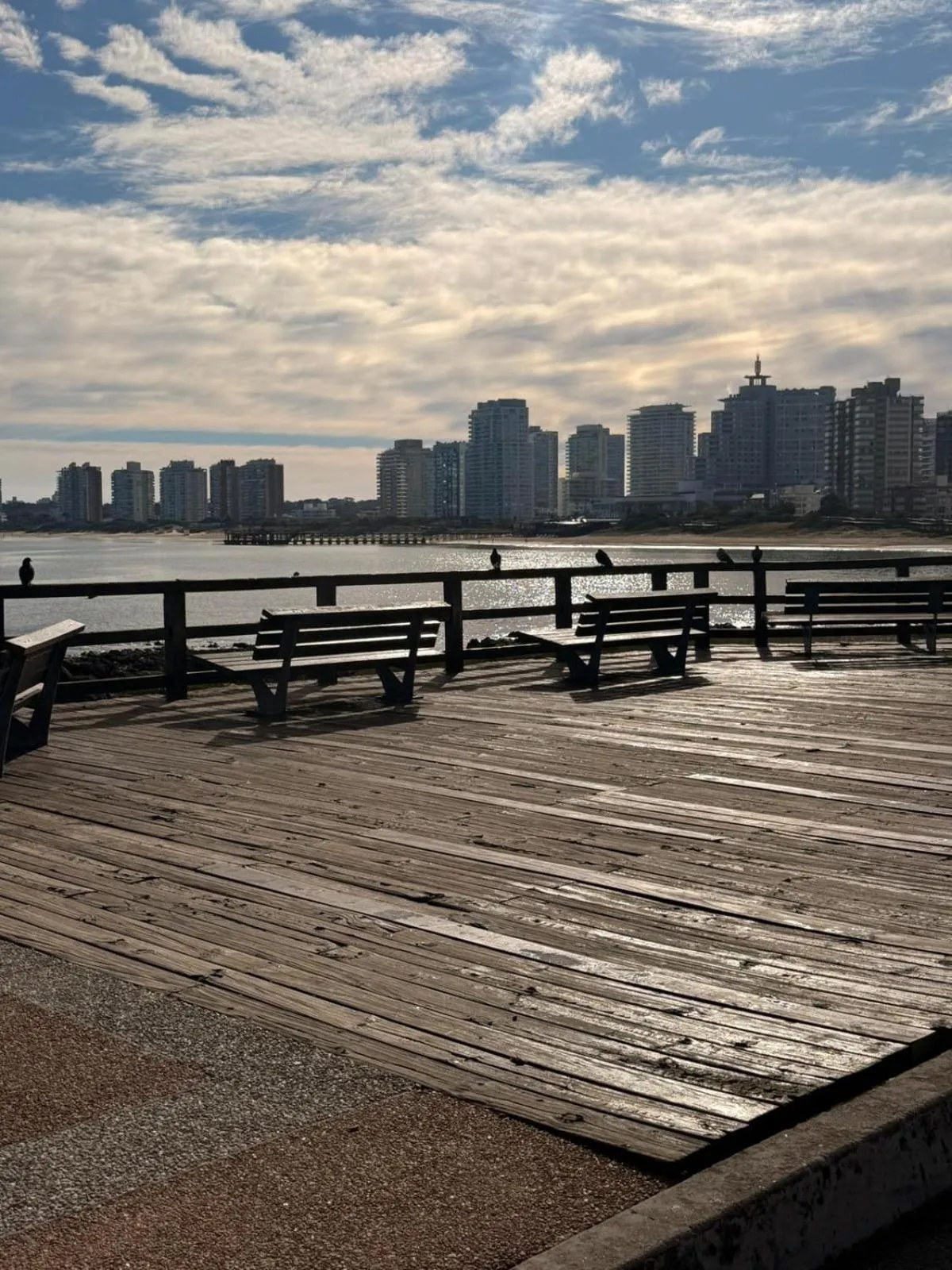 Natural landscape in Punta del Este Shelton Hotel