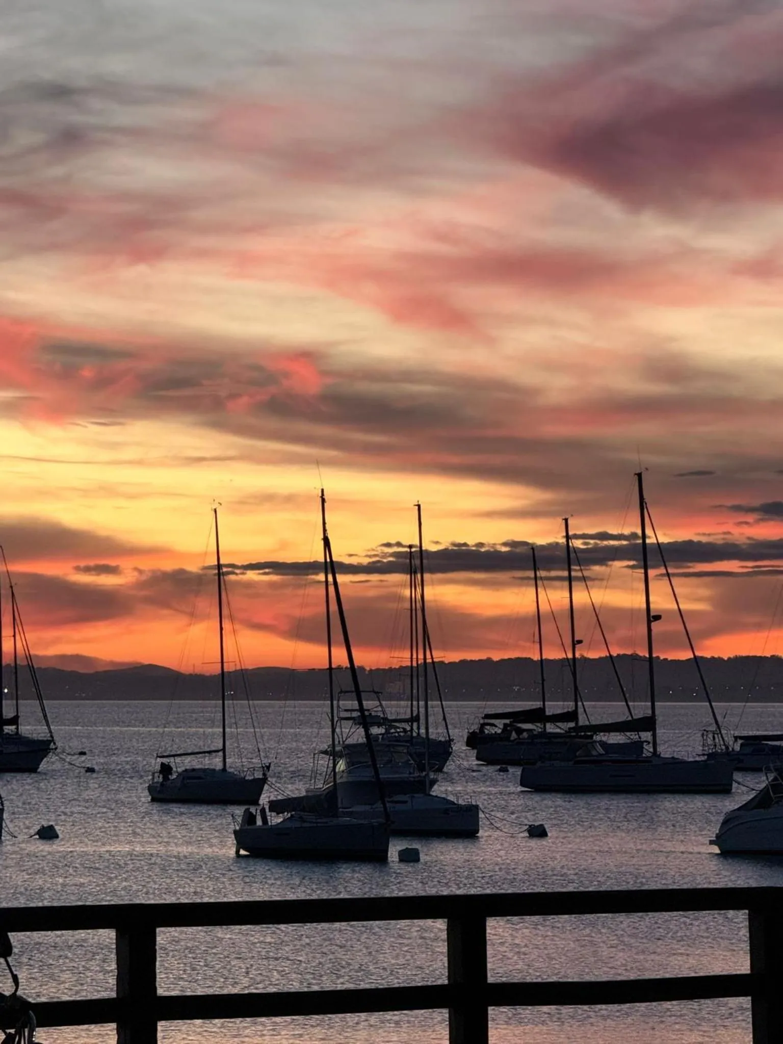 Natural landscape in Punta del Este Shelton Hotel