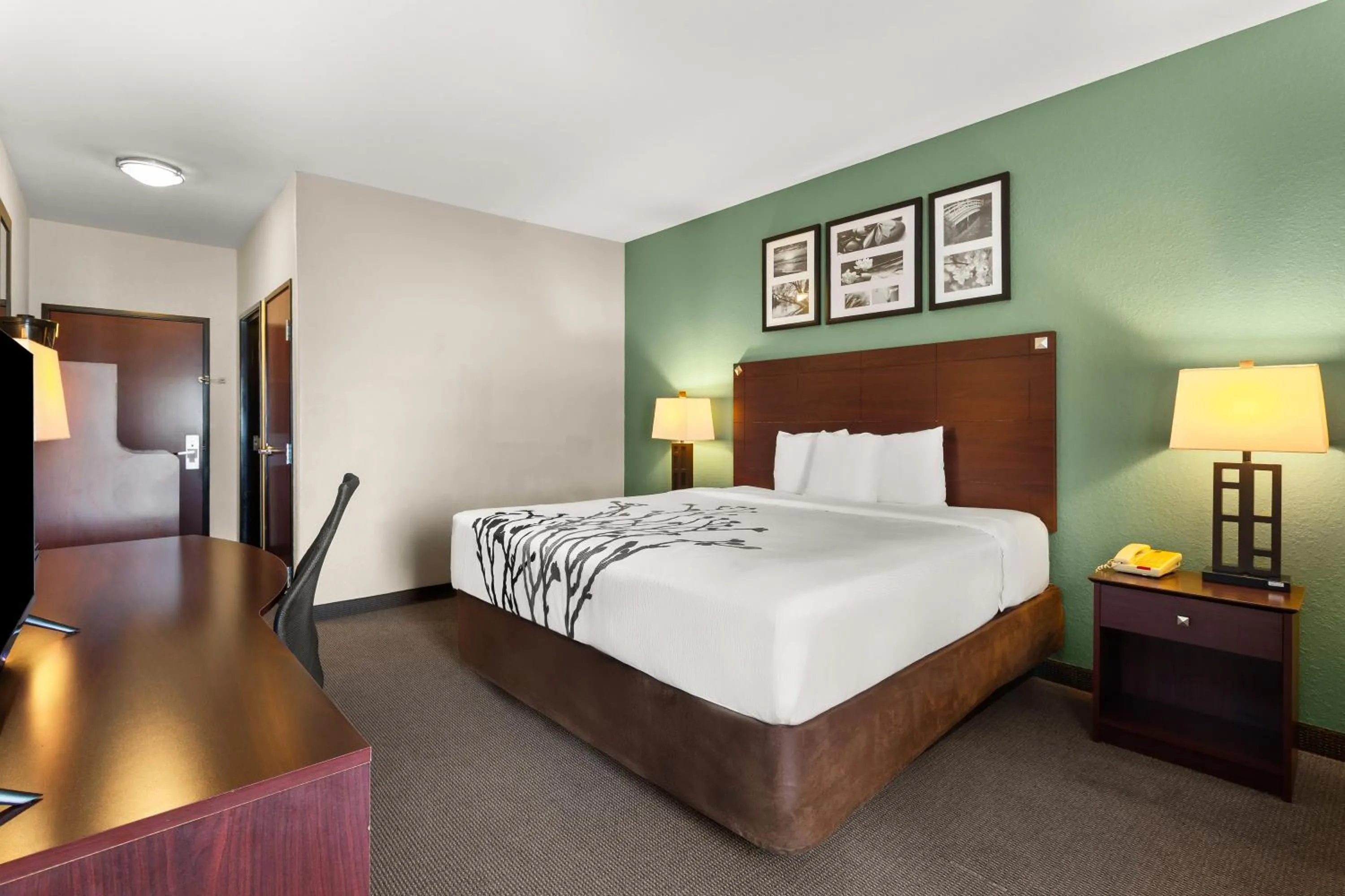 Bed in Sleep Inn & Suites Bush Intercontinental - IAH East