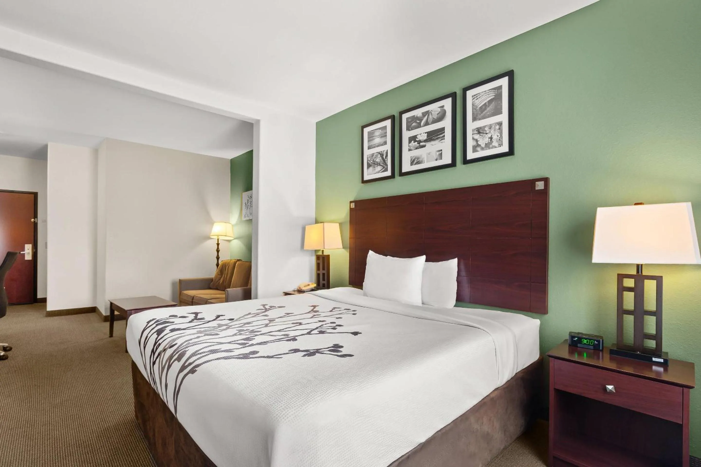 Bedroom, Bed in Sleep Inn & Suites Bush Intercontinental - IAH East