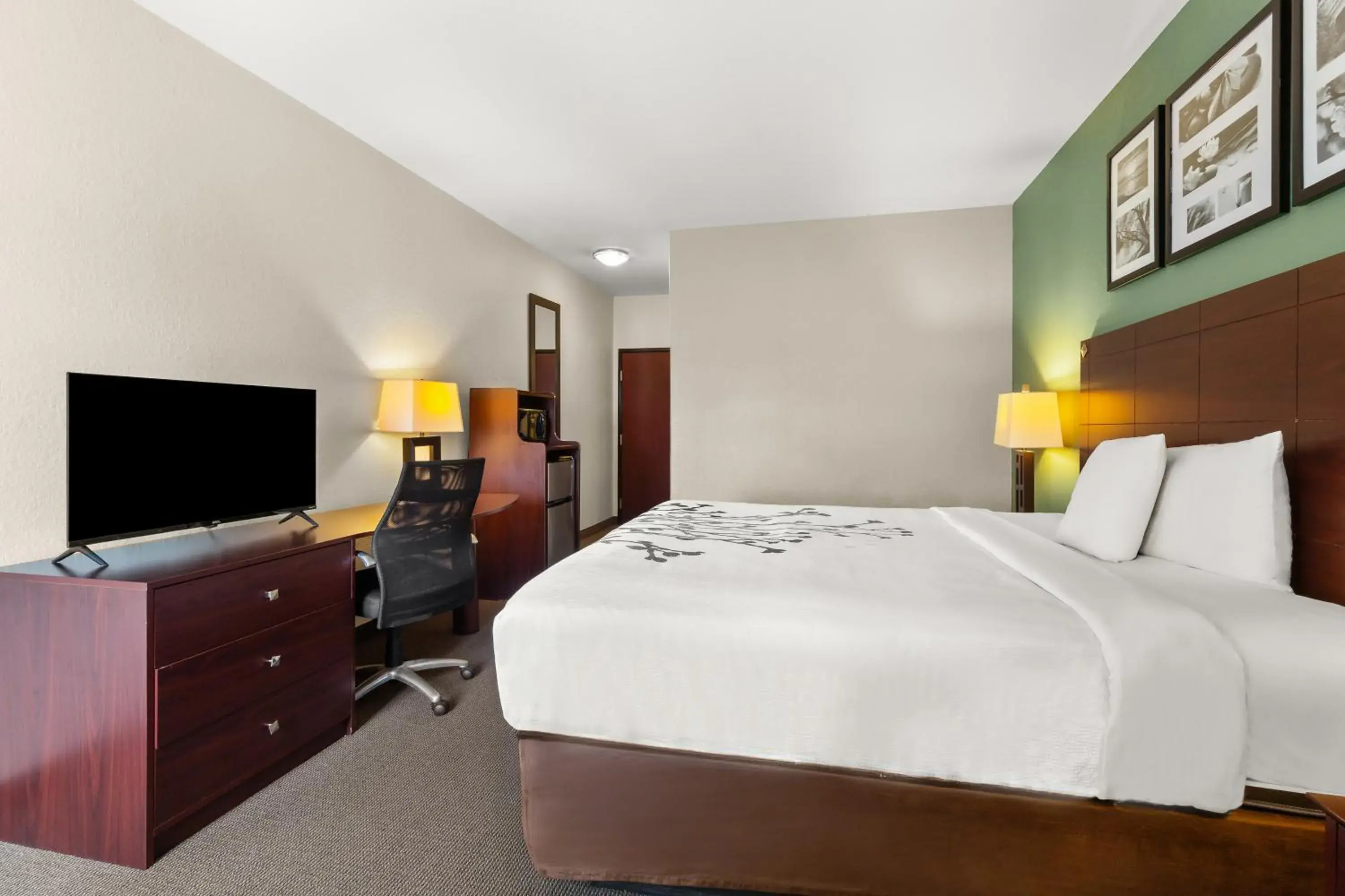 Standard King Room - Non Smoking in Sleep Inn & Suites Bush Intercontinental - IAH East Standard King Room - Non Smoking in Sleep Inn & Suites Bush Intercontinental - IAH East