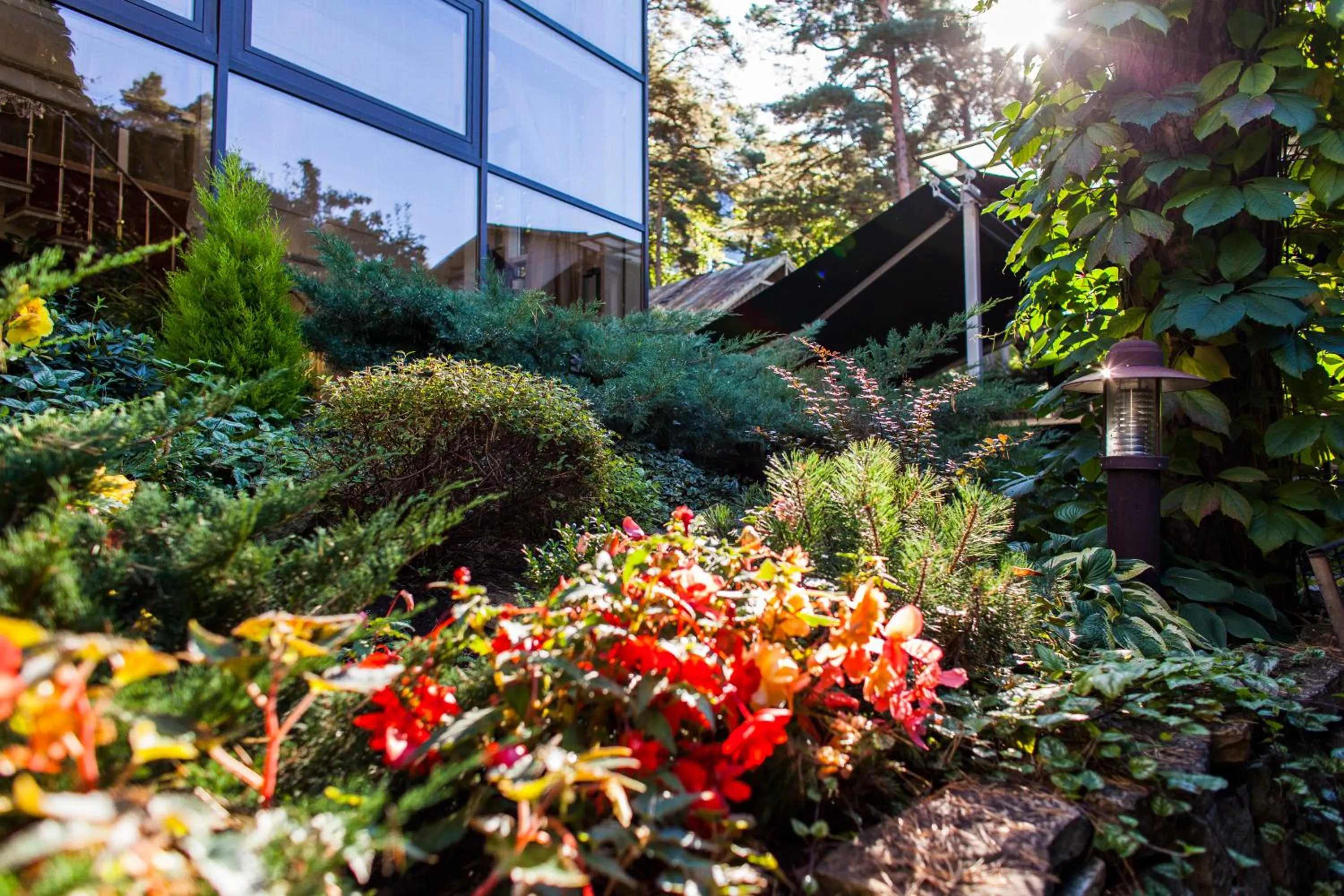 Spring in TB Palace Hotel & SPA