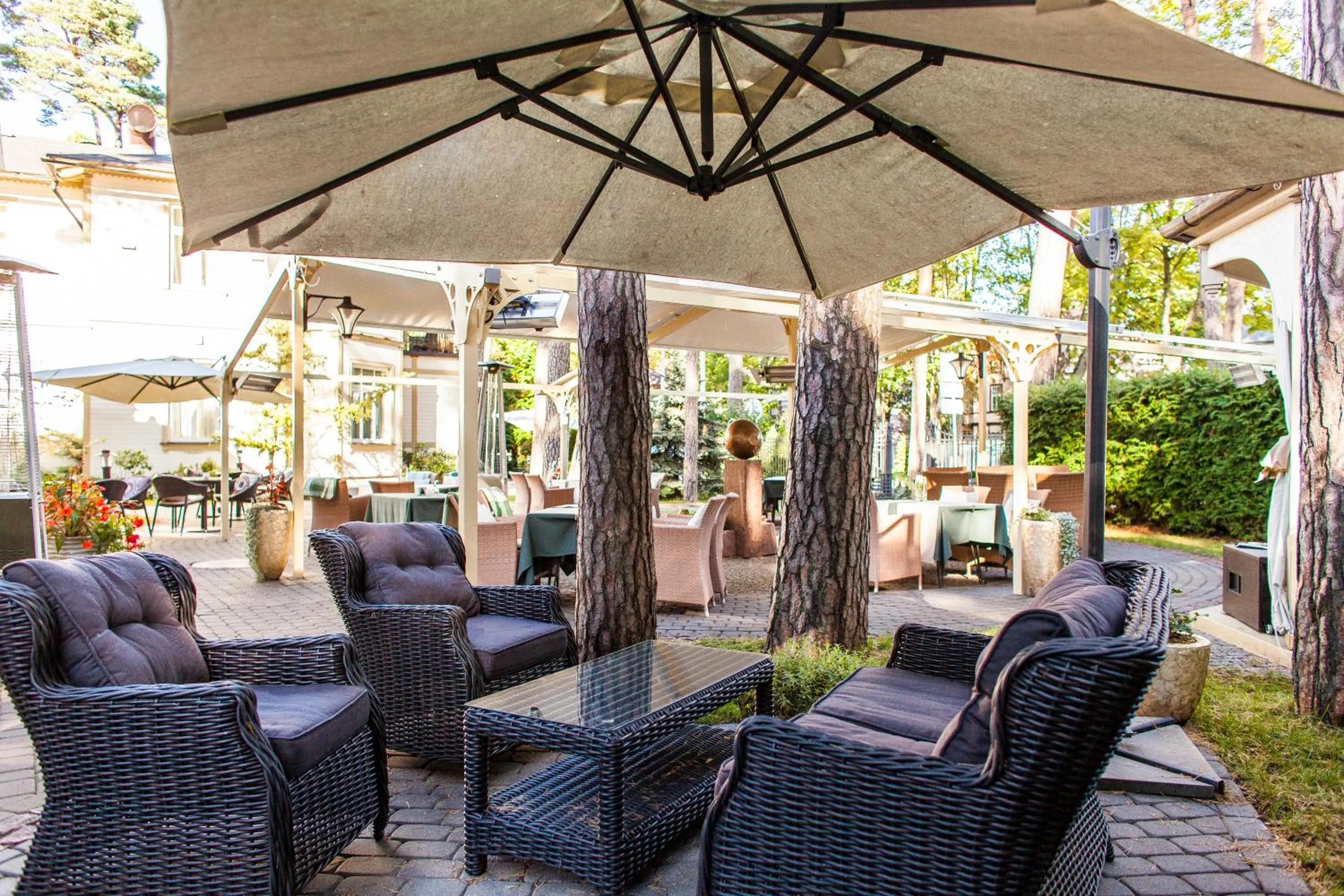 Restaurant/places to eat in TB Palace Hotel & SPA