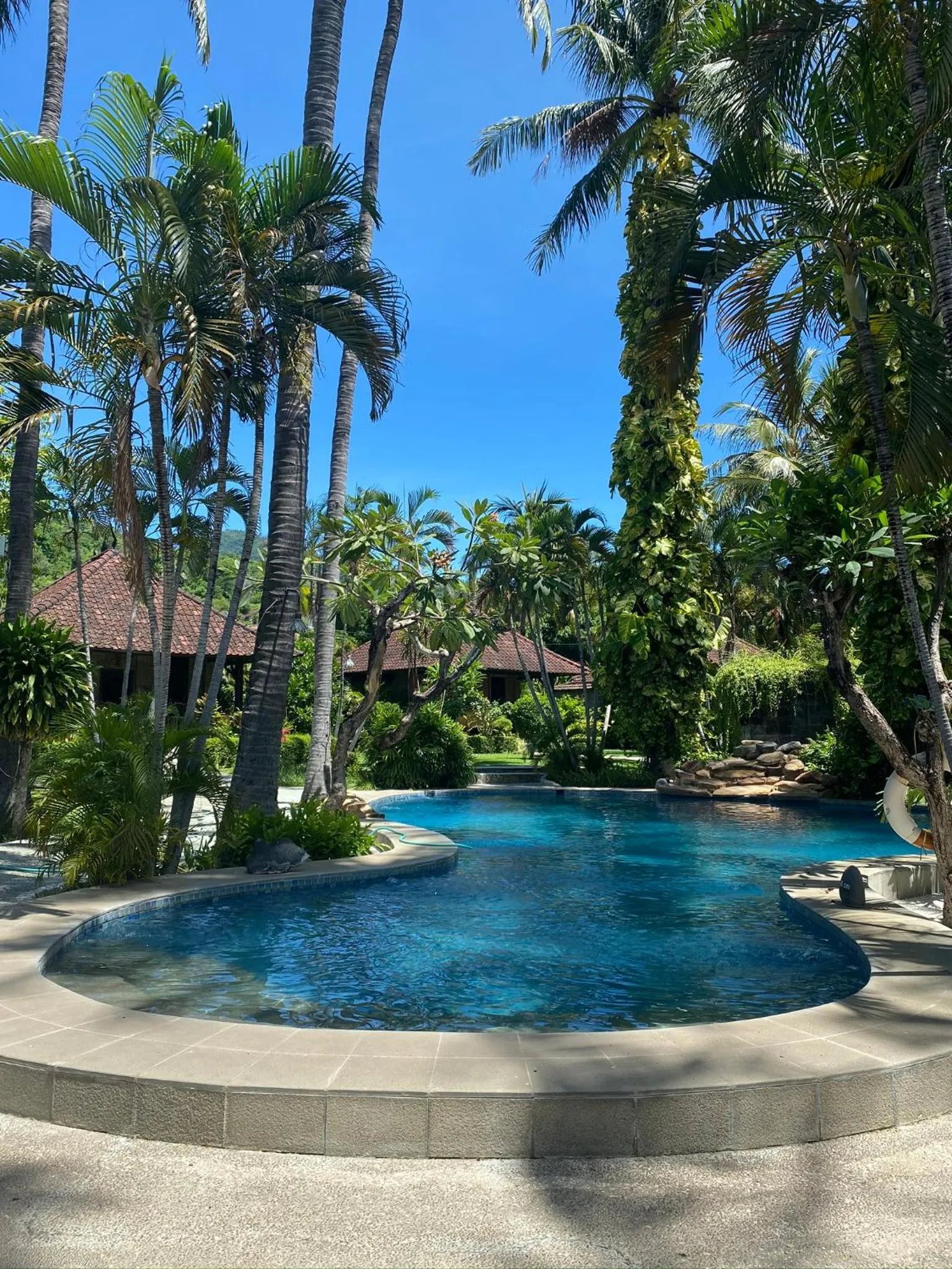 Swimming pool in Coral View Villas