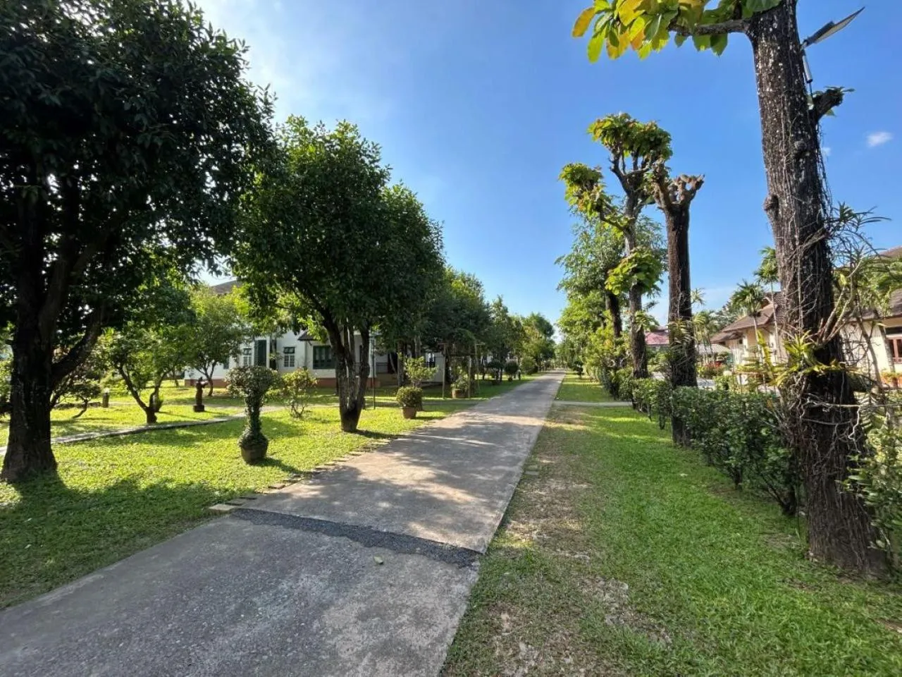 Teak Garden Resort, Chiang Rai