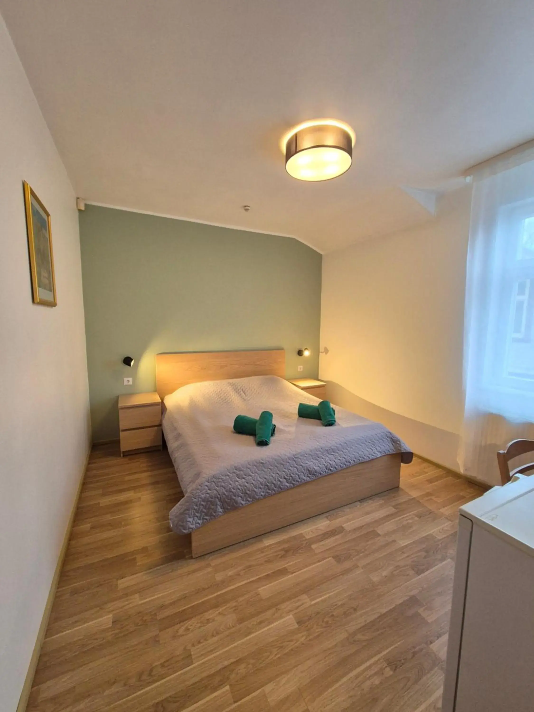 Double Room with Private Bathroom in Elīna Double Room with Private Bathroom in Elīna