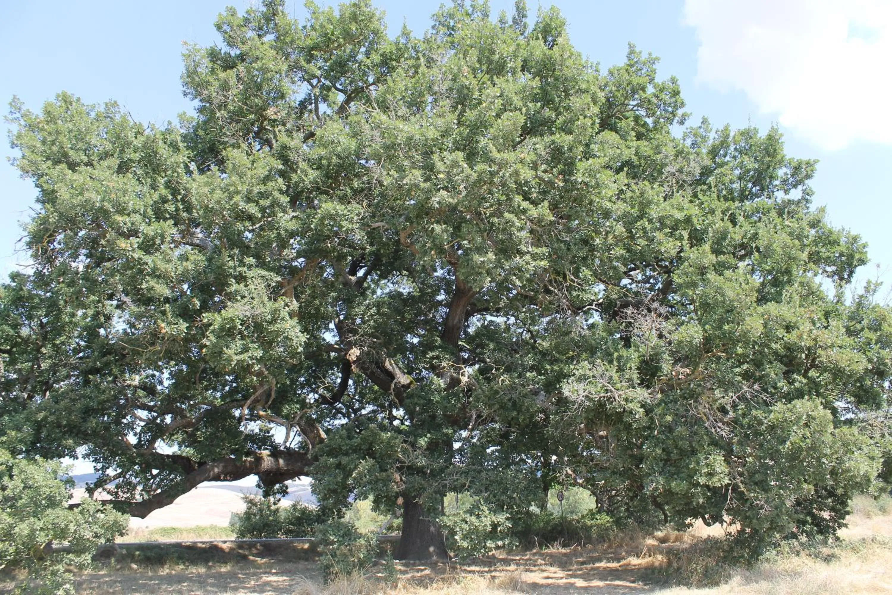 Other in Hotel Ismaele