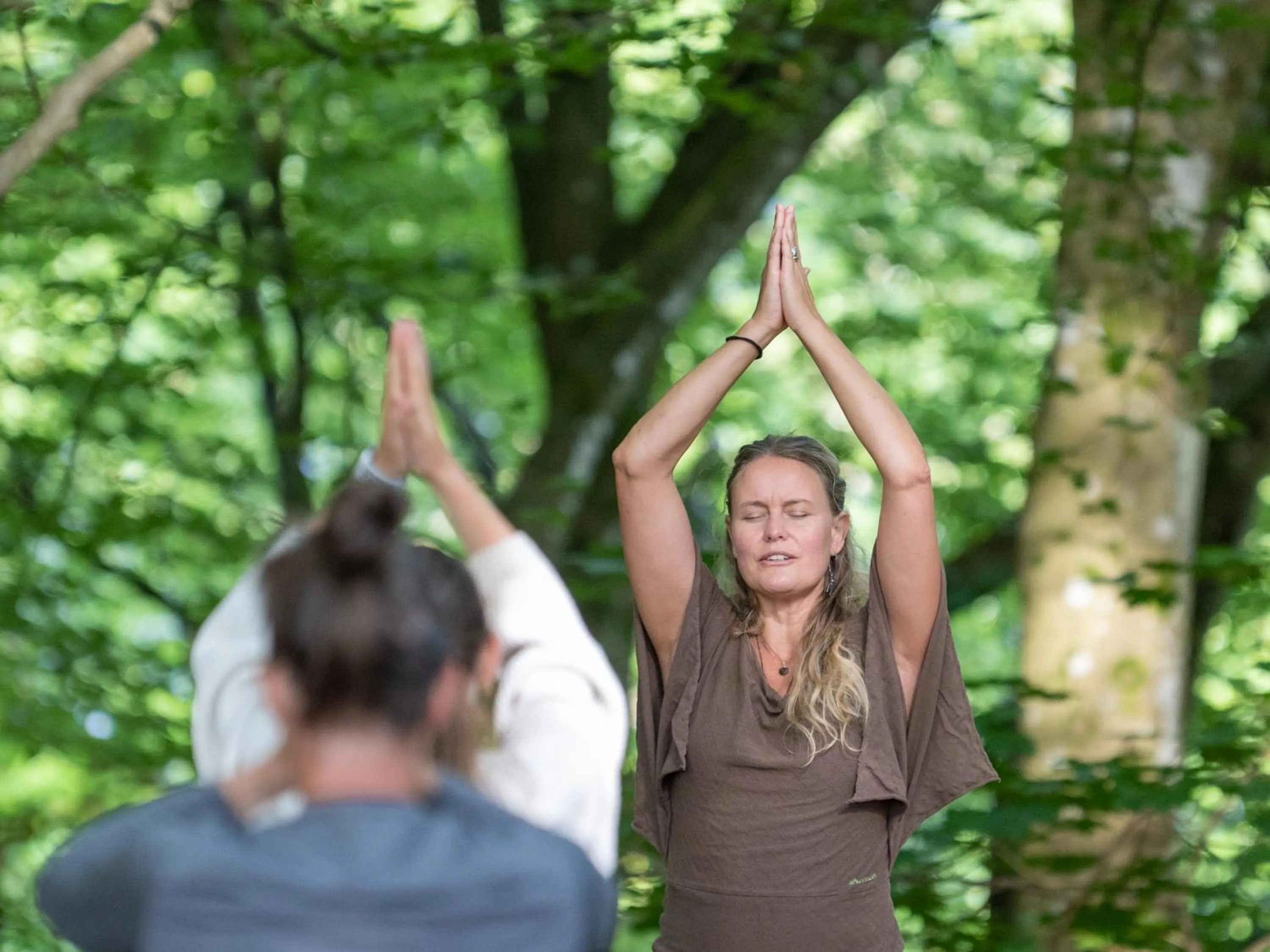 Activities in STF Villa Söderåsen B&B