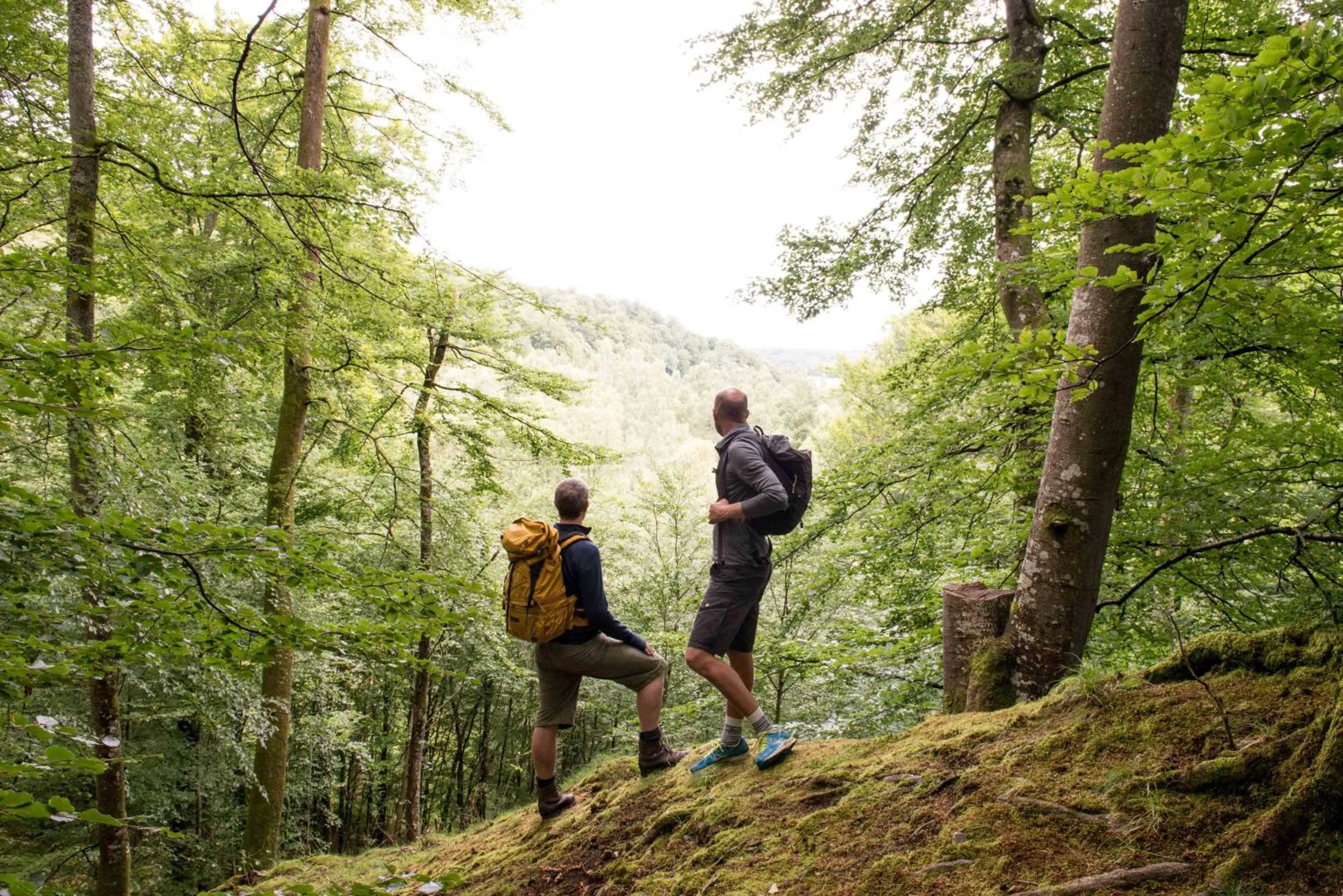Natural landscape in STF Villa Söderåsen B&B