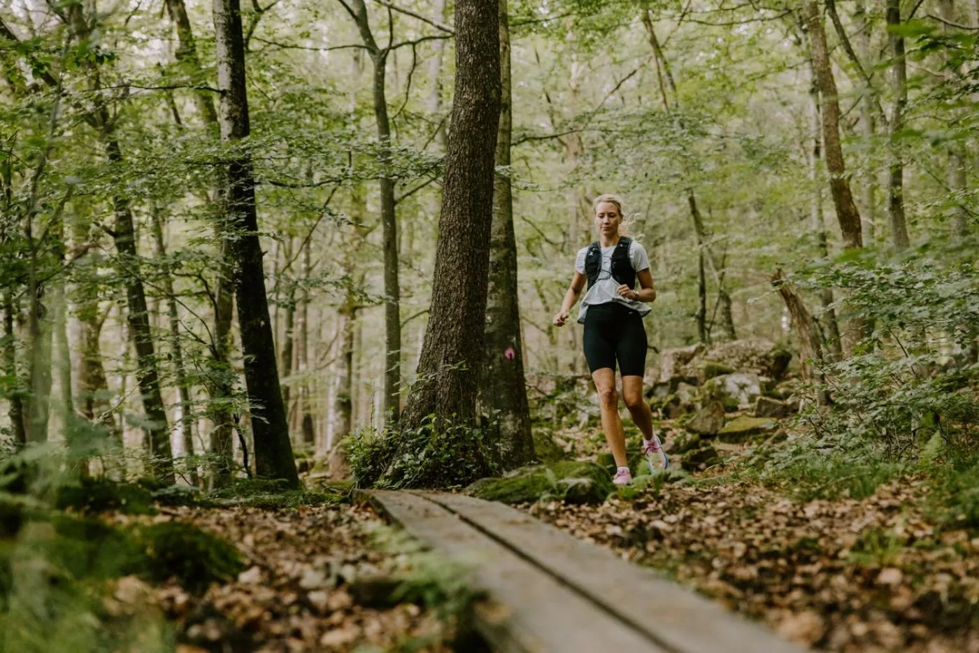 Natural landscape in STF Villa Söderåsen B&B