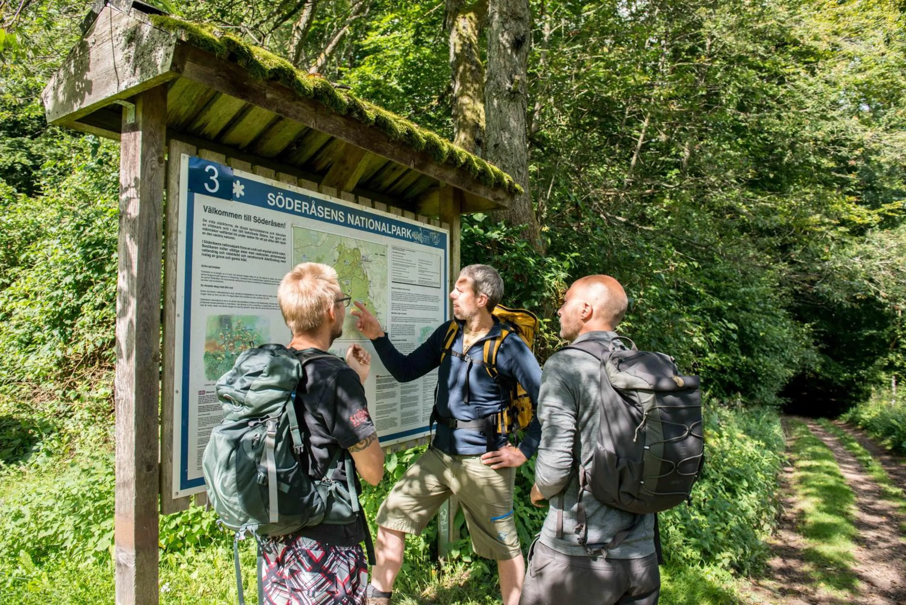 Natural landscape in STF Villa Söderåsen B&B