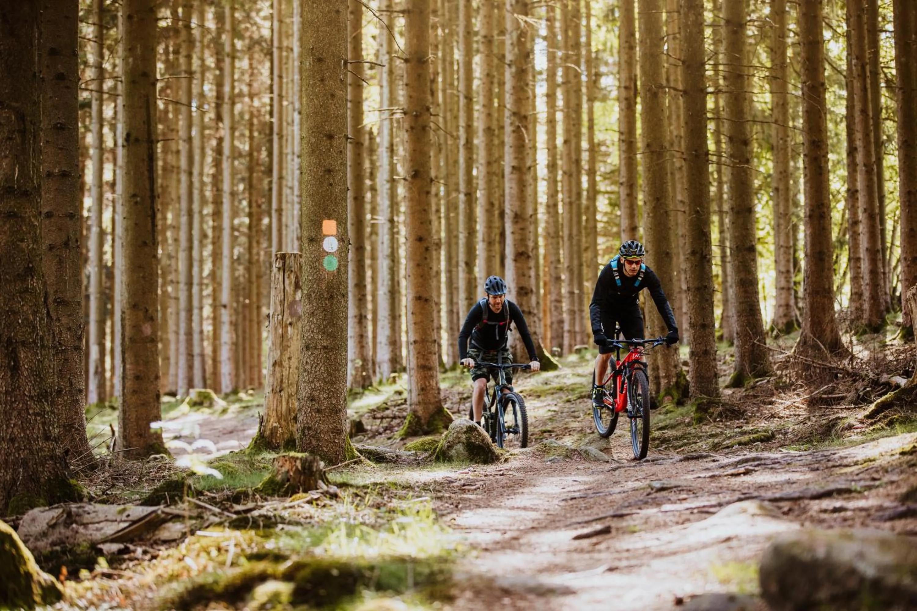 Natural landscape in STF Villa Söderåsen B&B