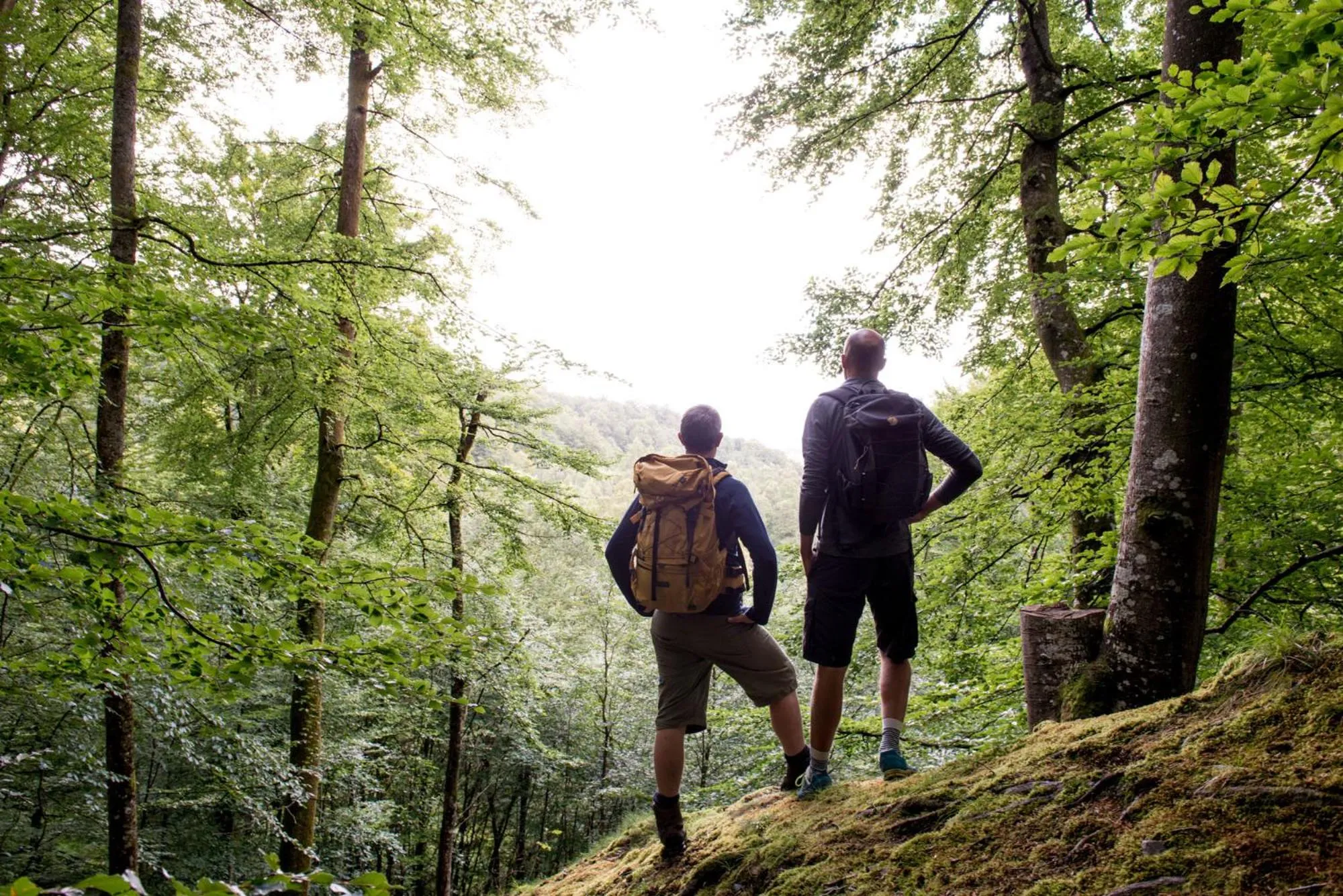 Nearby landmark in STF Villa Söderåsen B&B