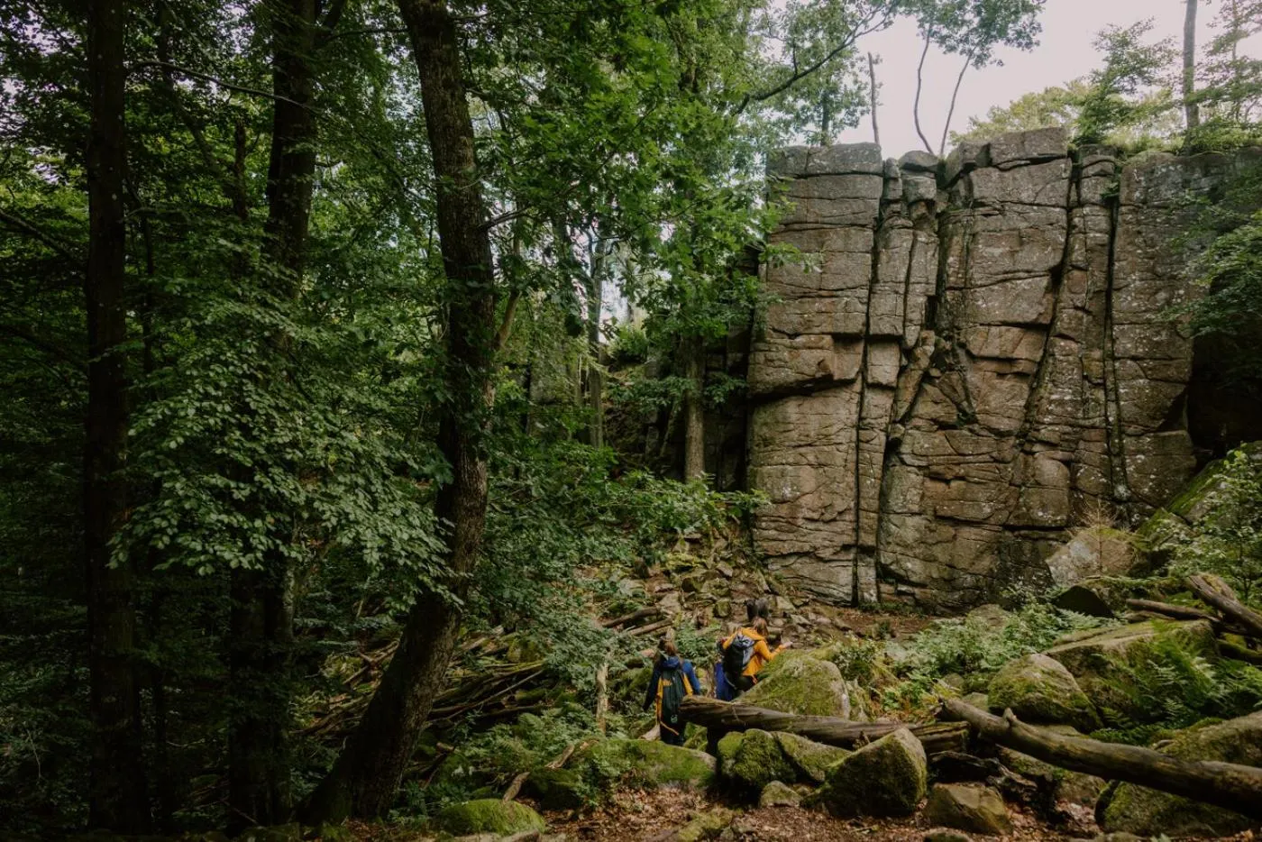 Natural landscape in STF Villa Söderåsen B&B