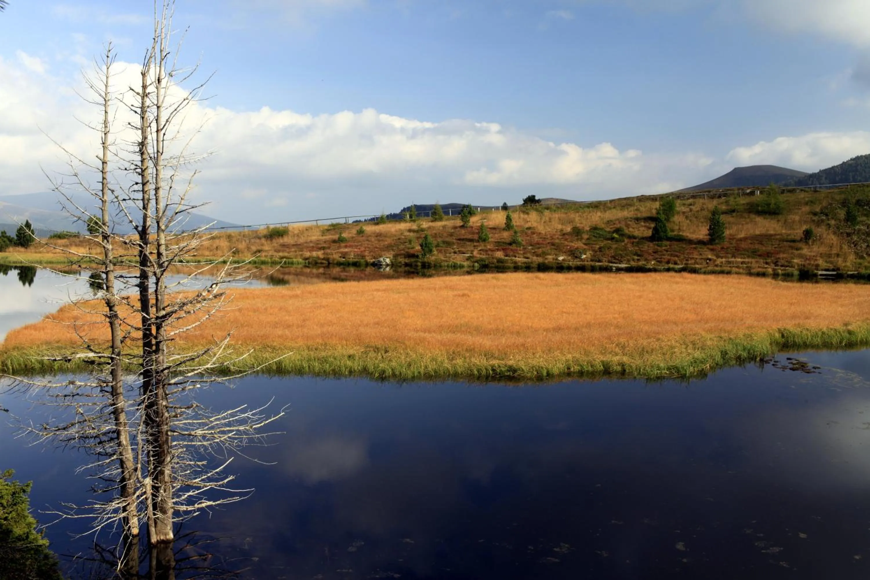 Natural landscape in Hotel Sonnalm - SPA,Idyll,Dining