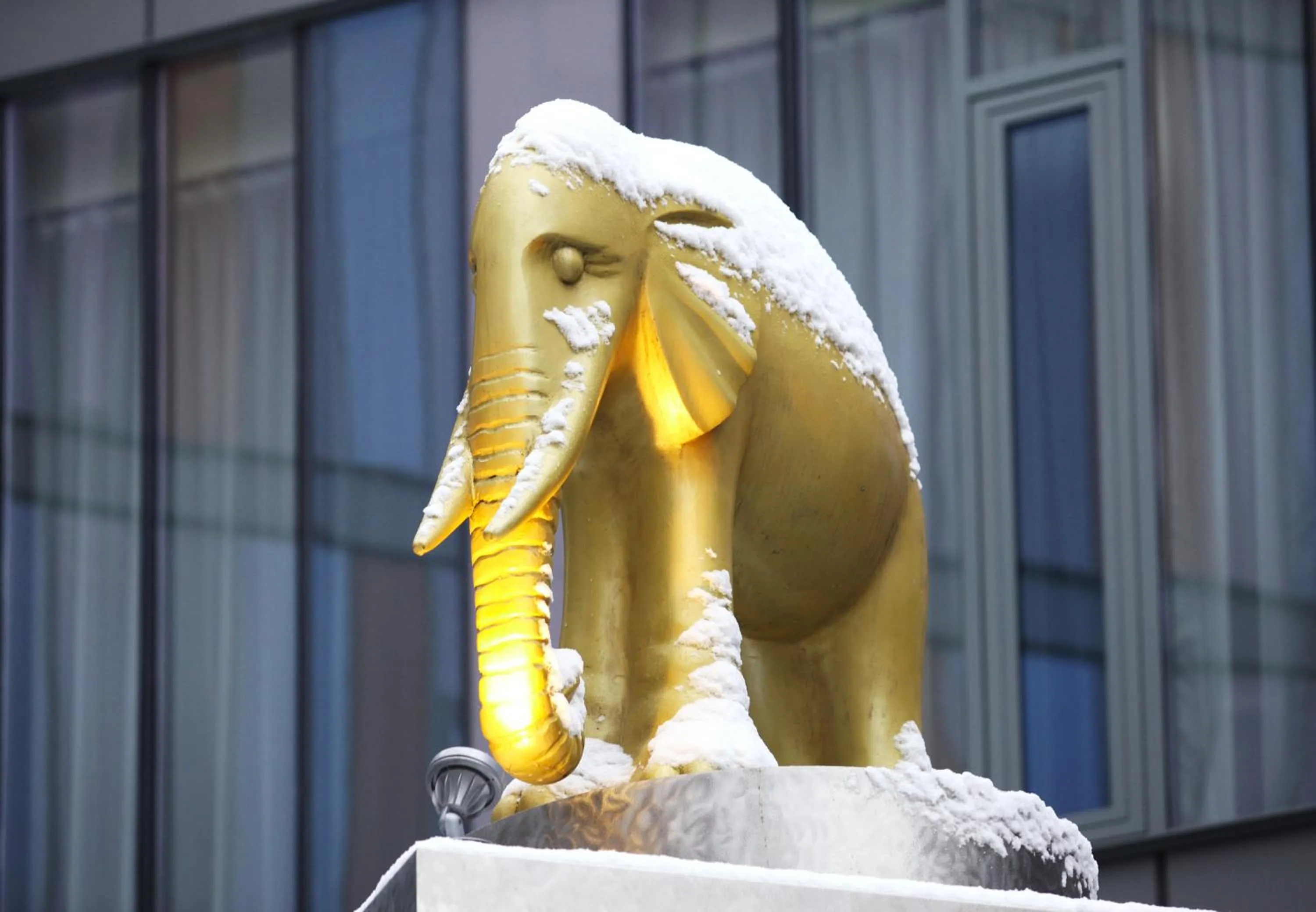 Property building in Rixwell Elefant Hotel