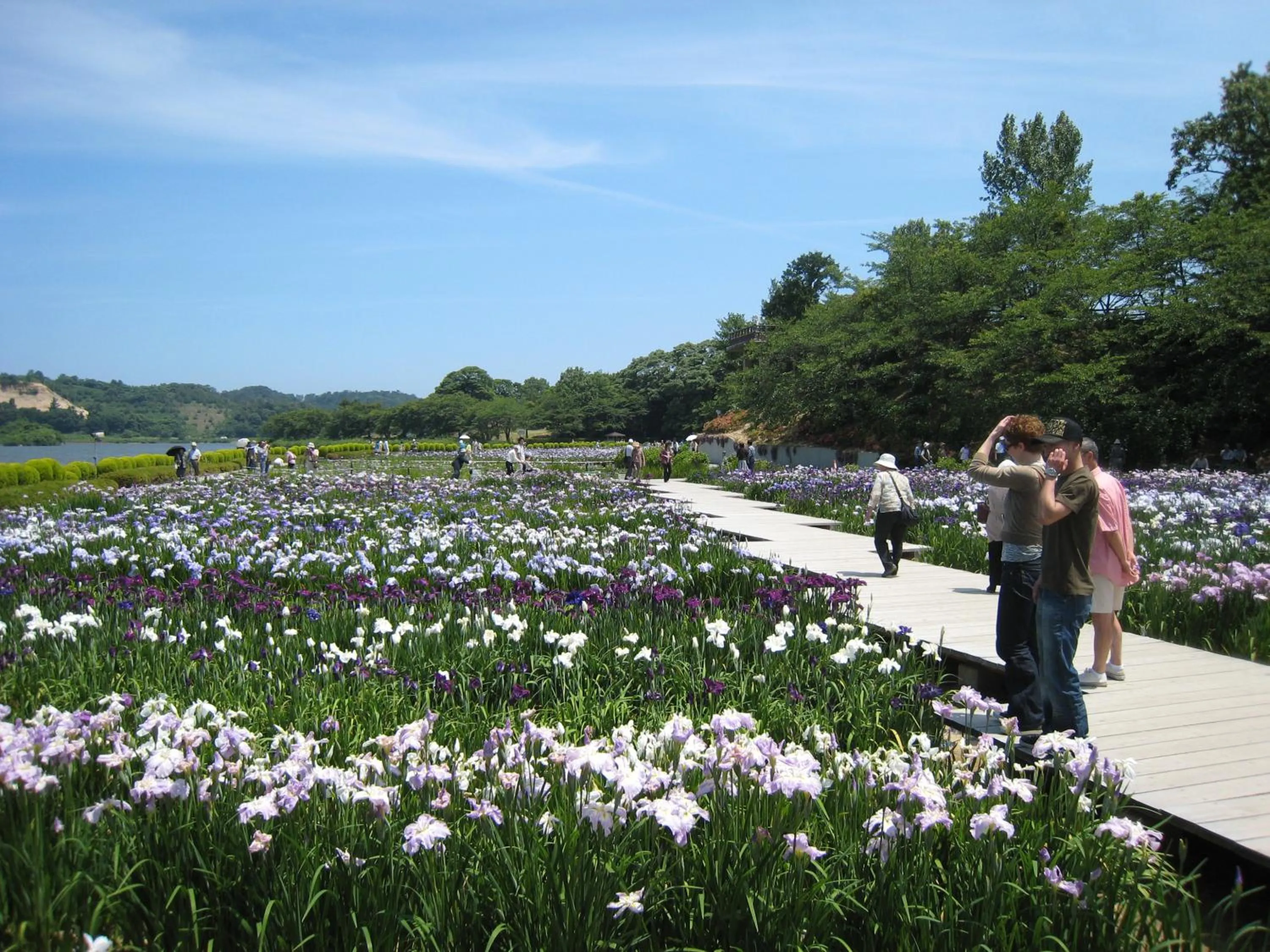 Other in Awara Kitagata Onsen Kohanso Hana Yurari