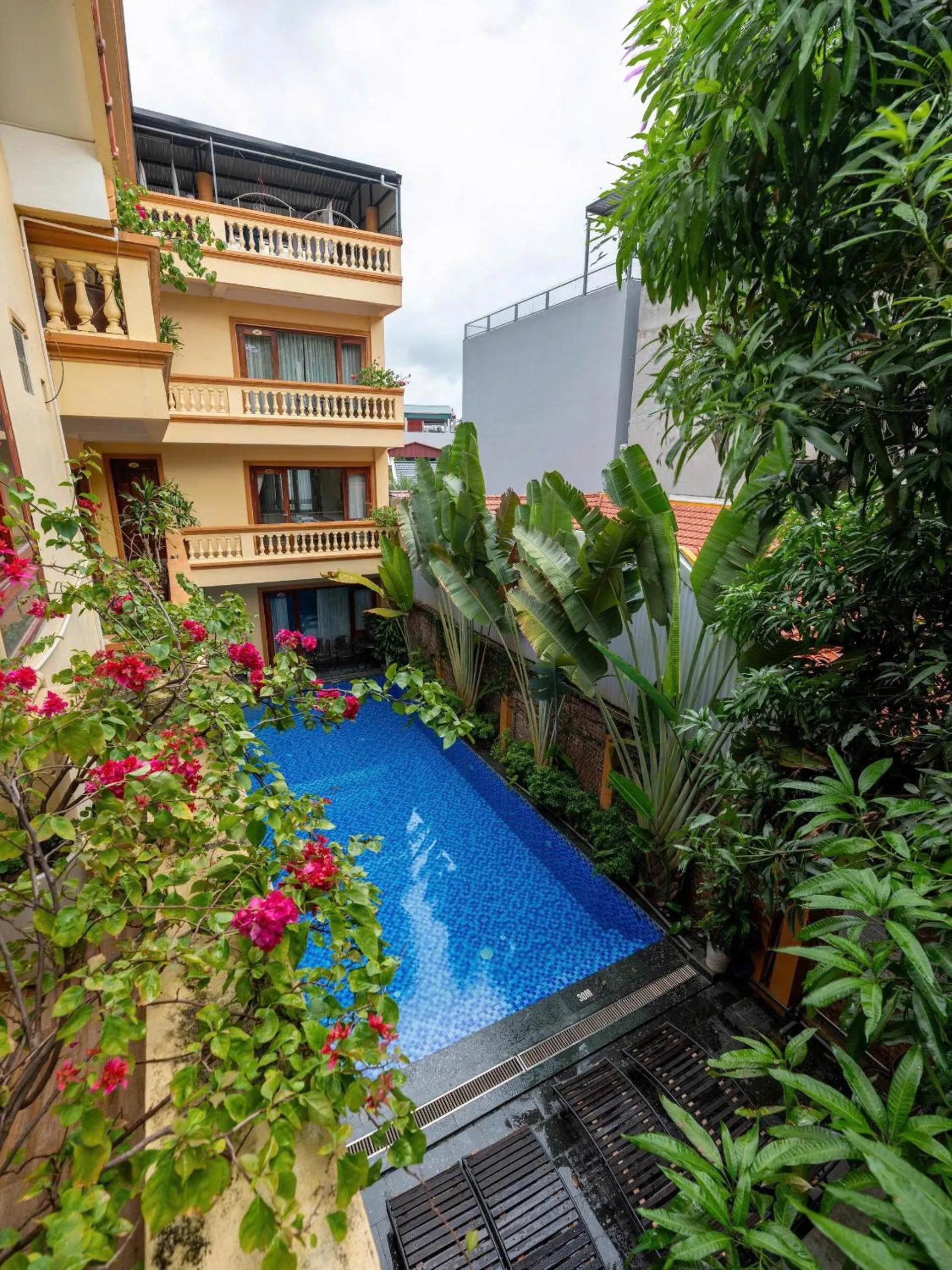 Garden view in Lys Homestay