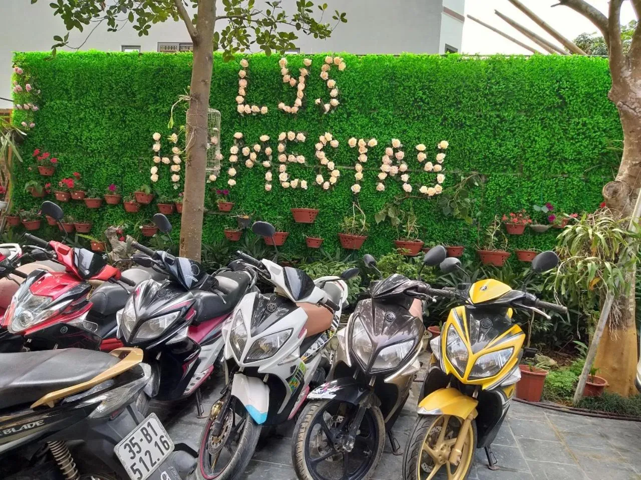 Cycling in Lys Homestay