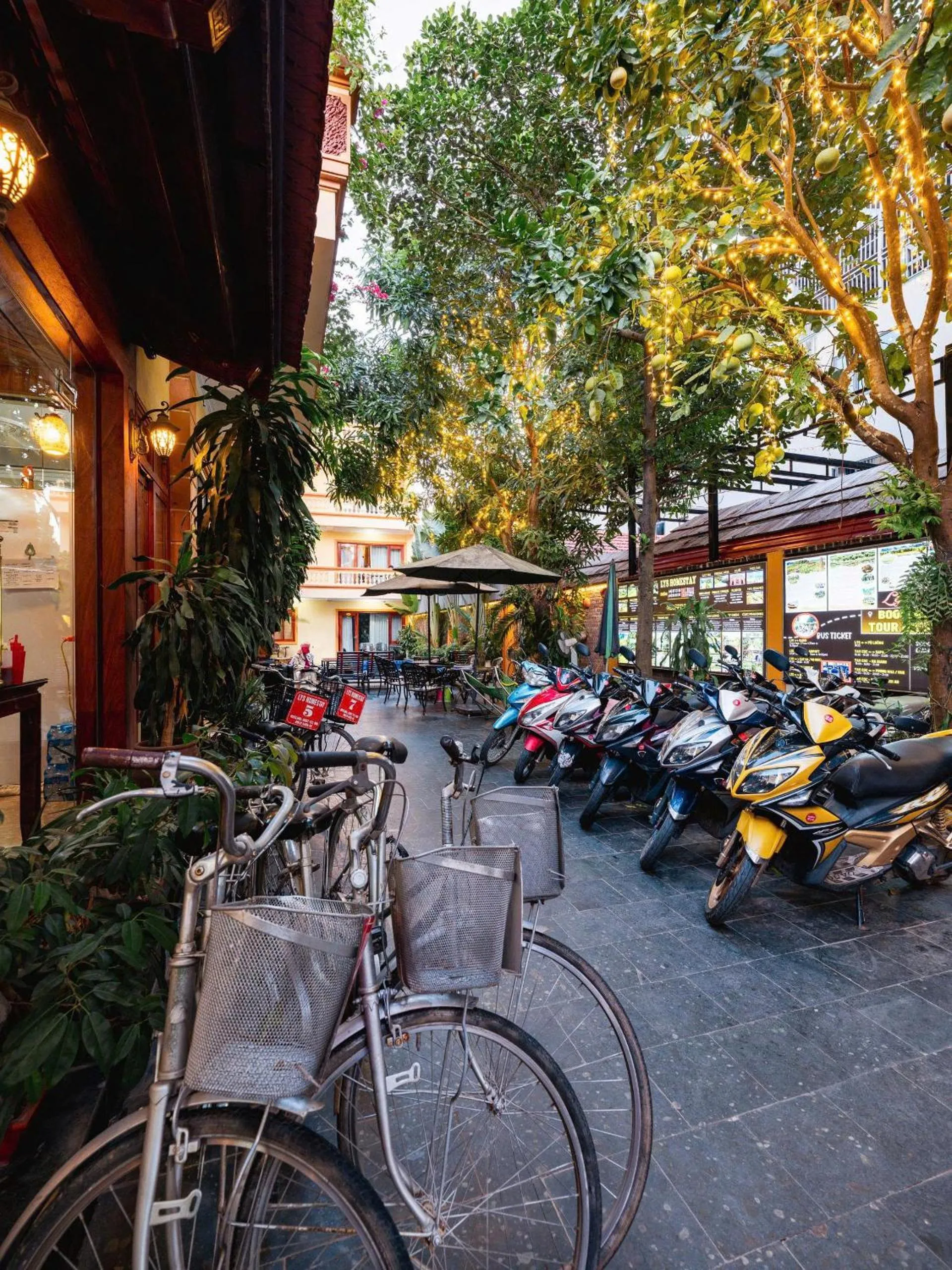 Cycling in Lys Homestay