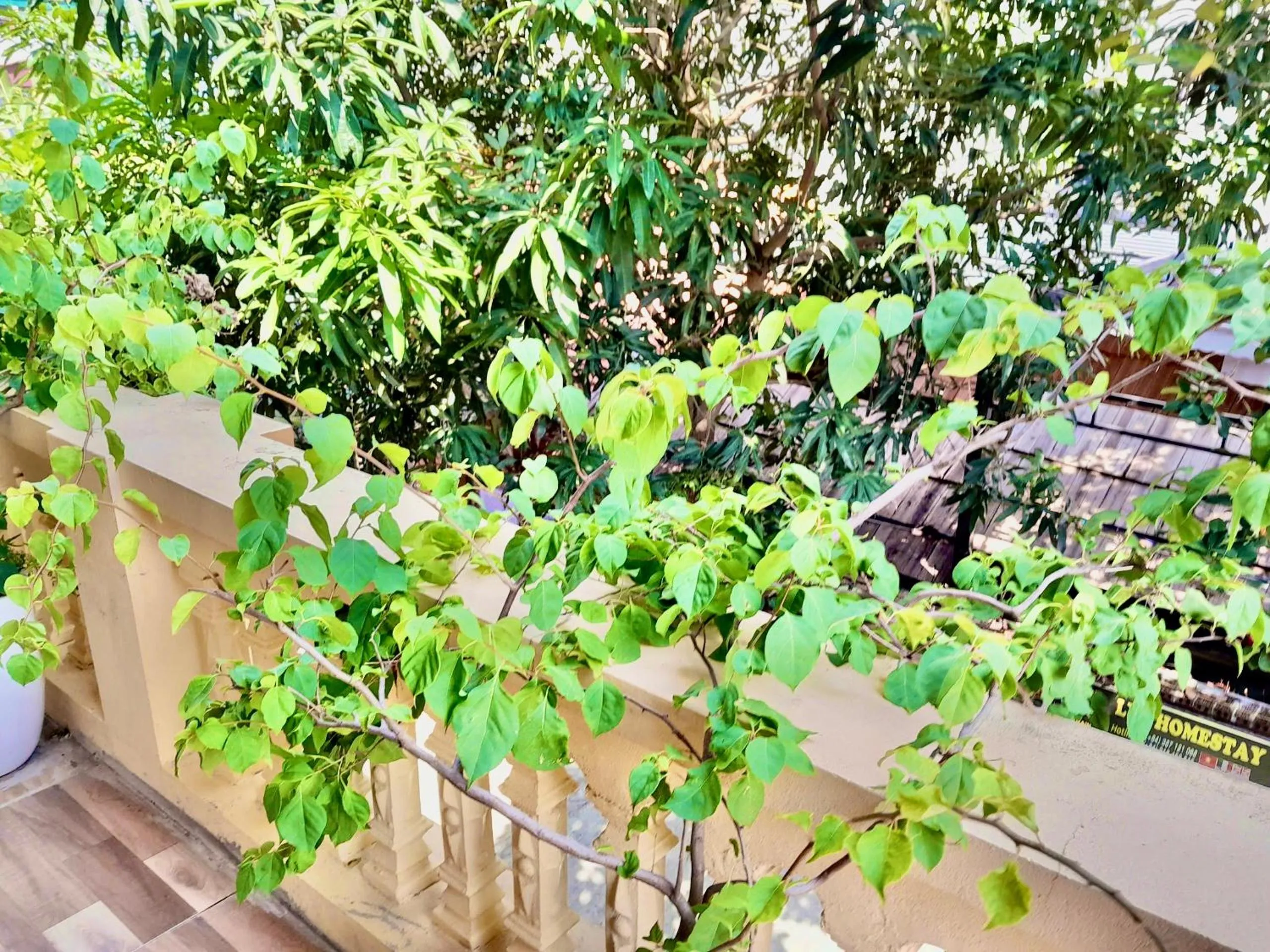 Balcony/Terrace in Lys Homestay