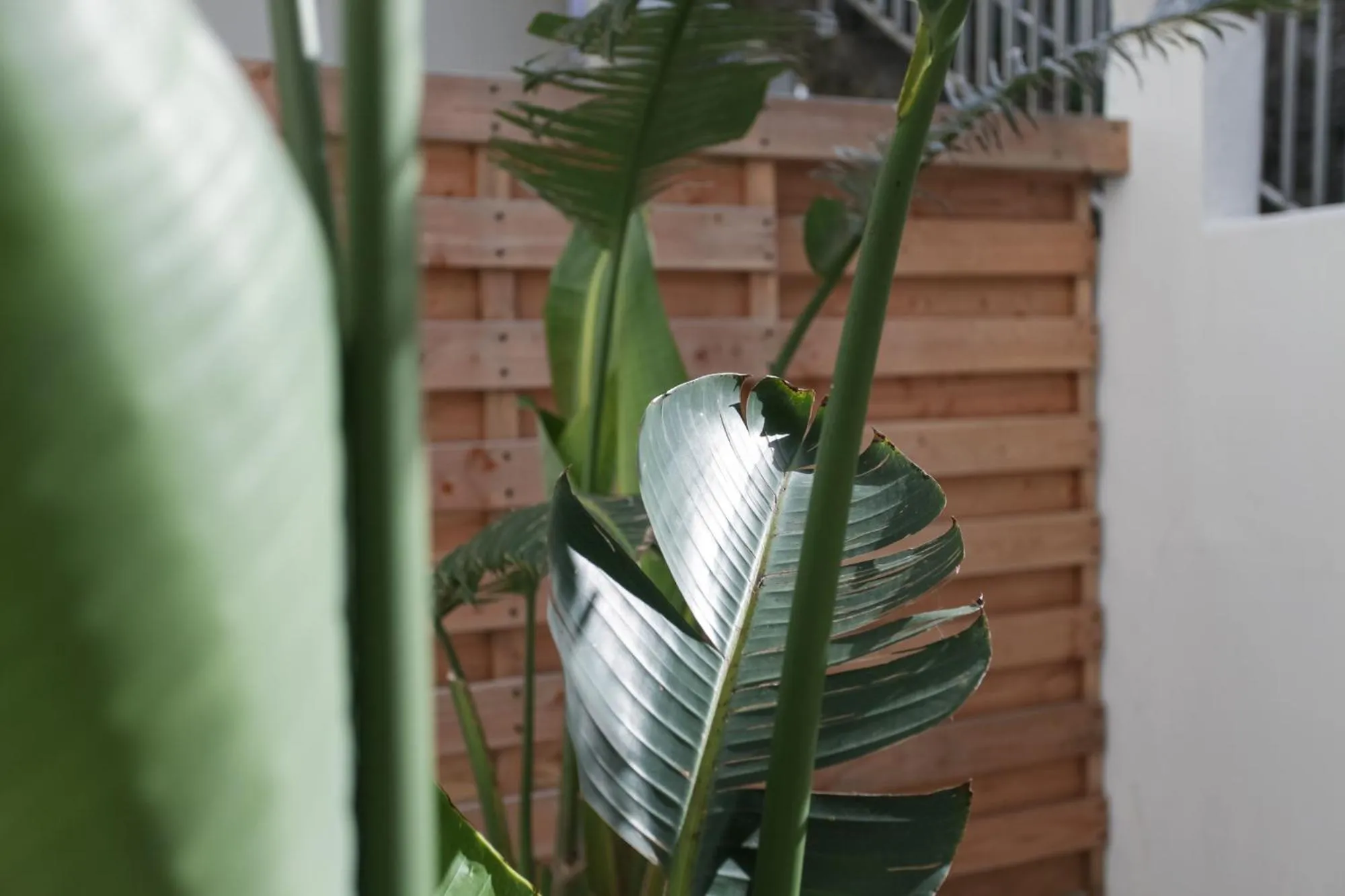 Patio in Le Gamaritz